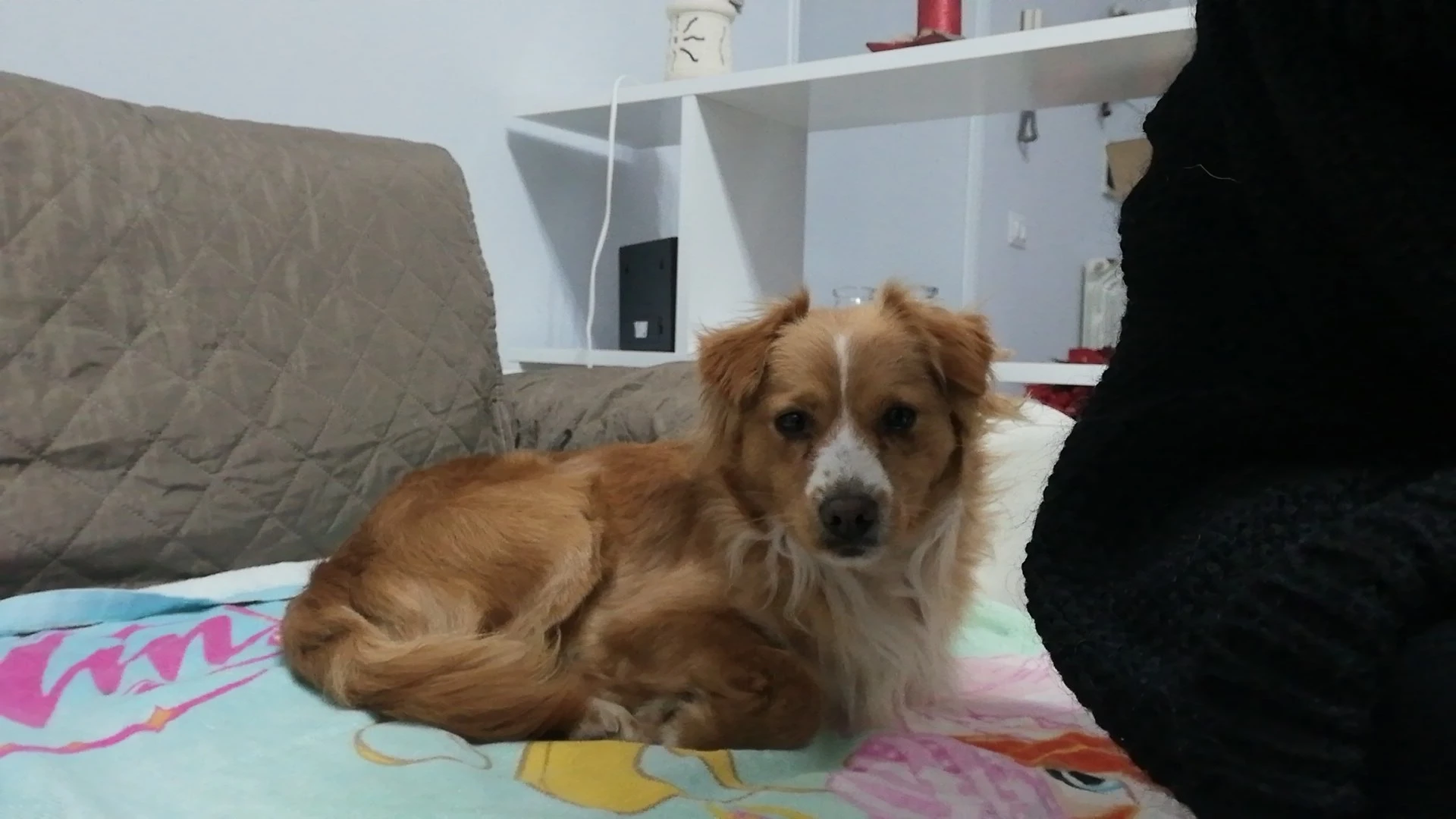 image-8