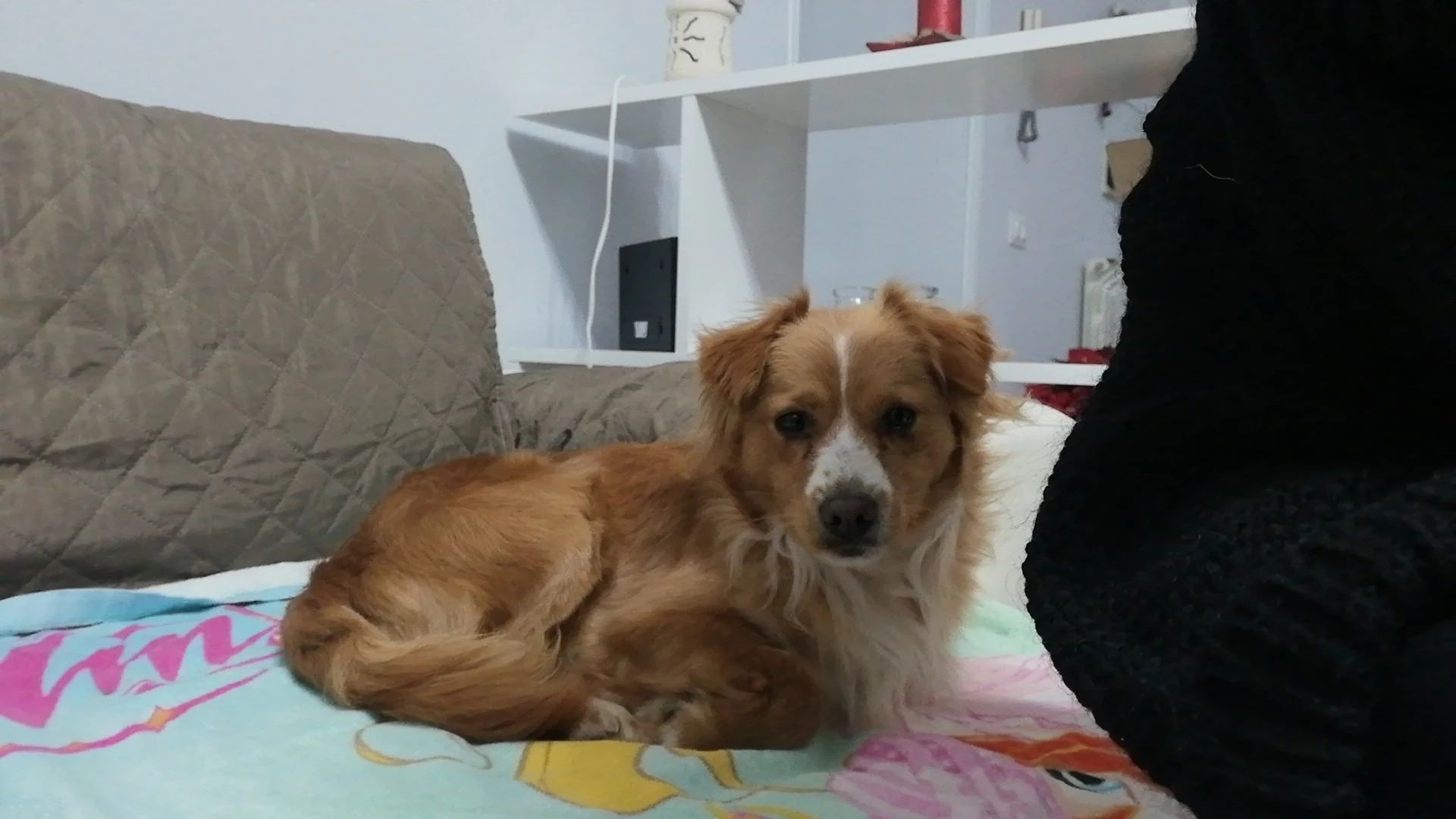 image-8