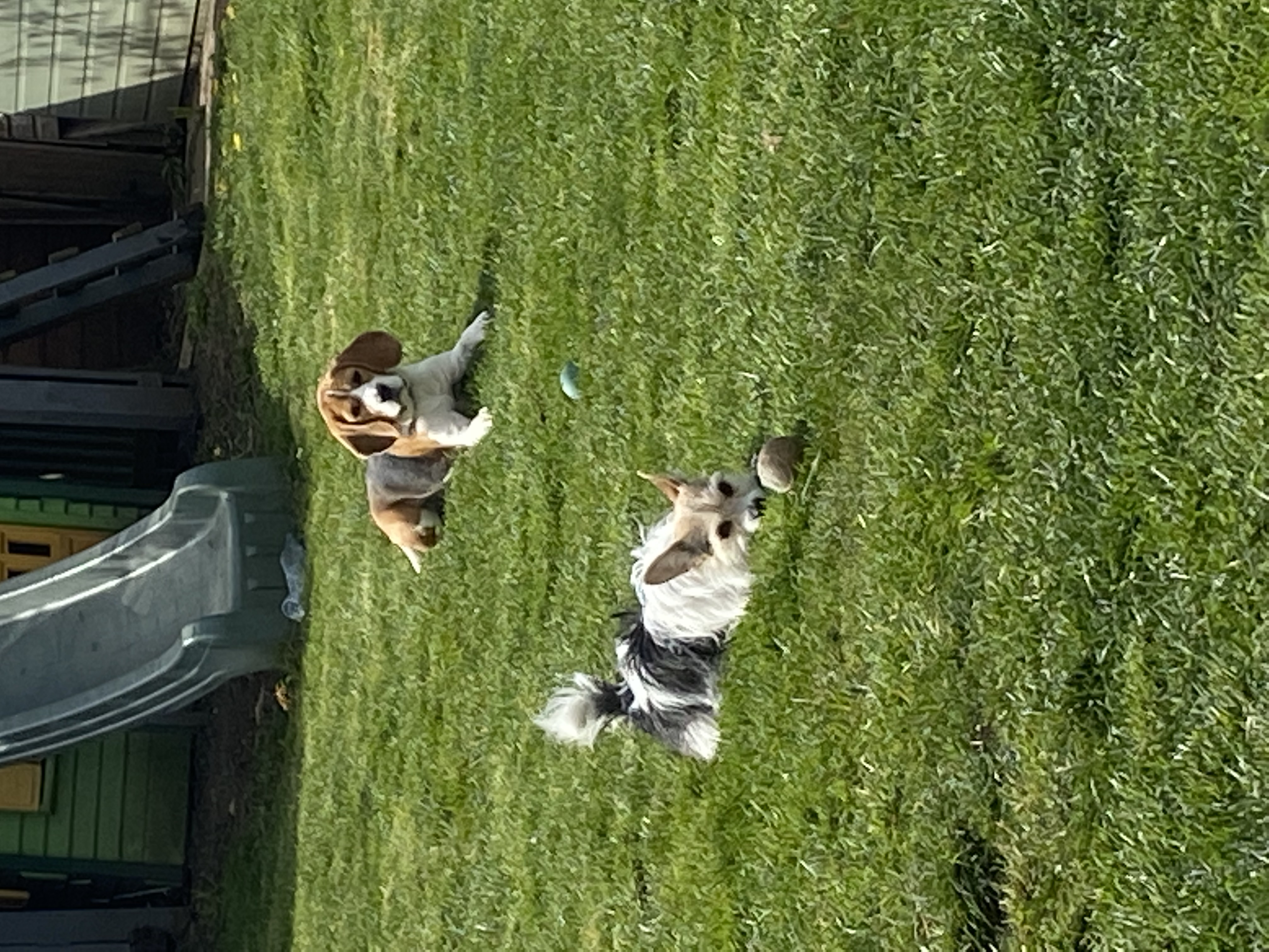 image-3