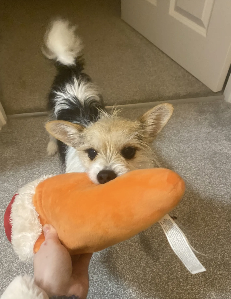 image-6