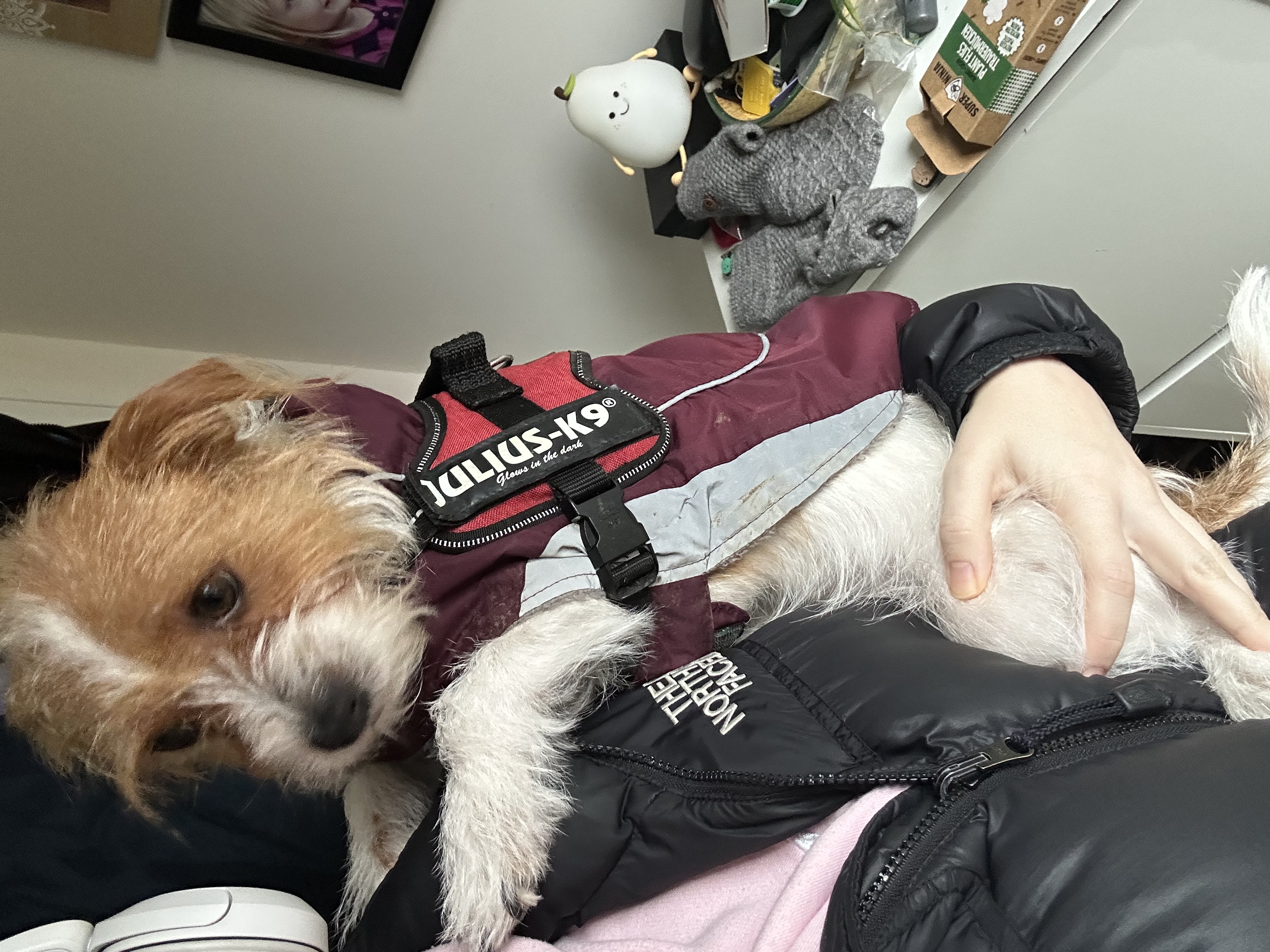 image-8