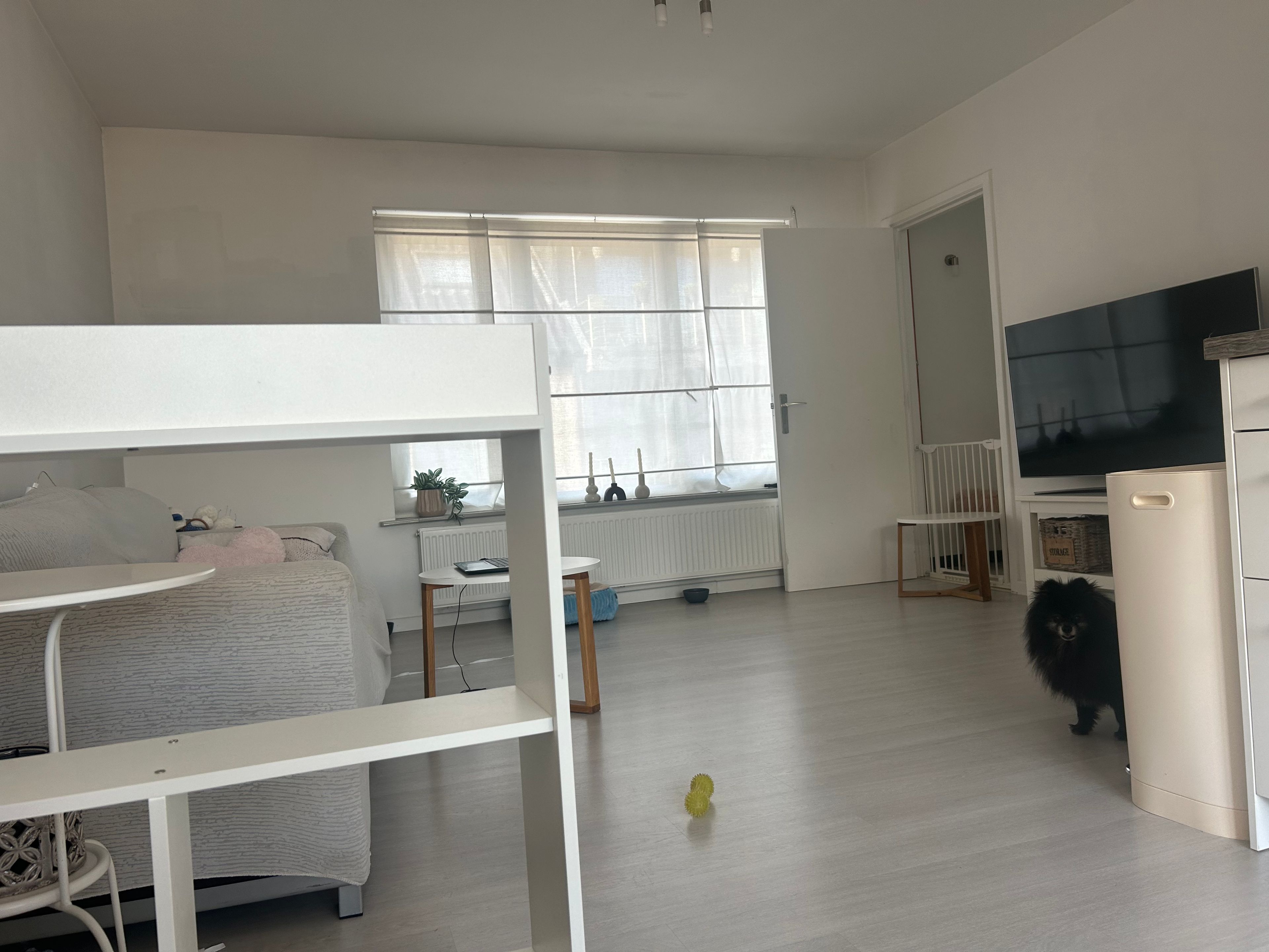 image-11