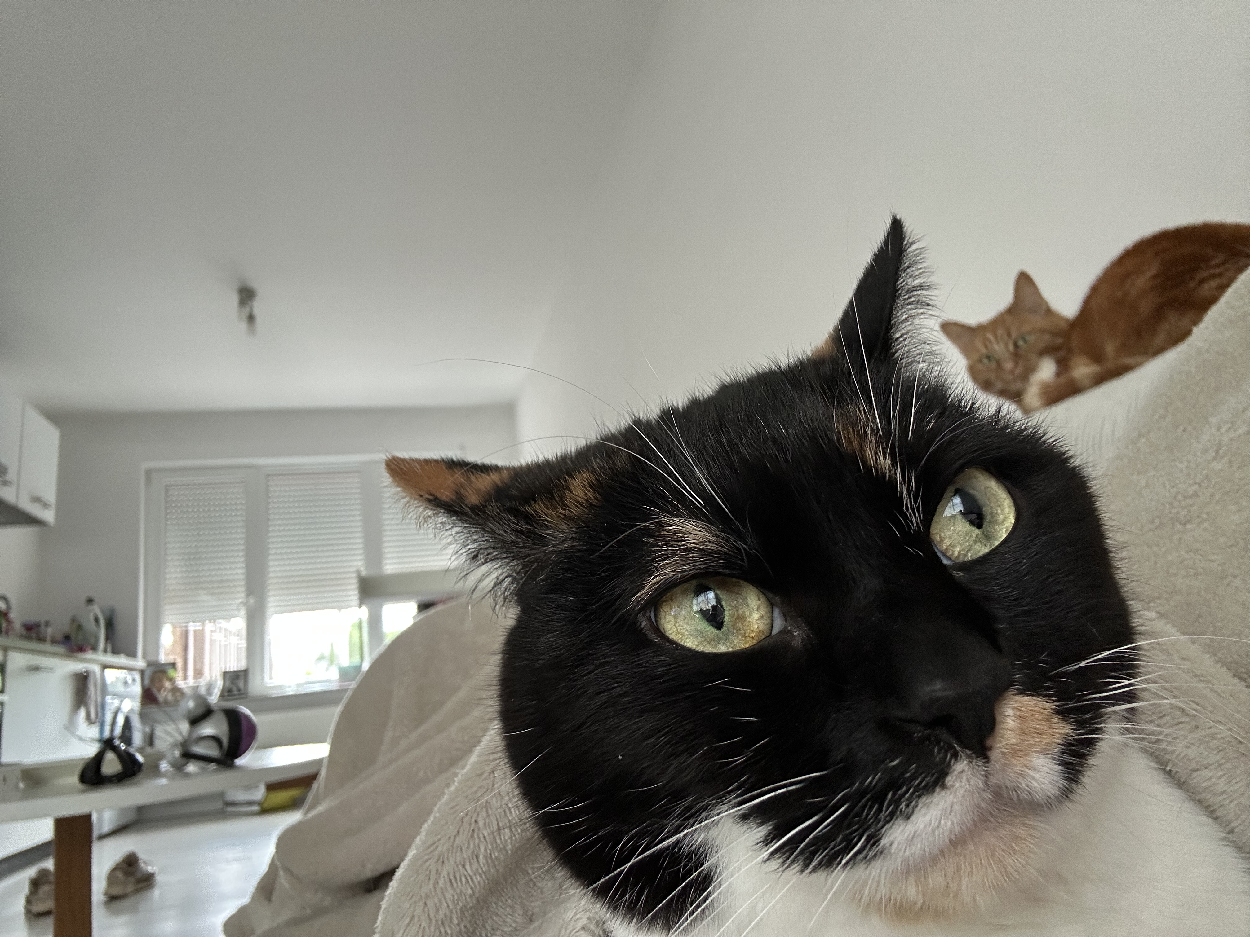 image-10