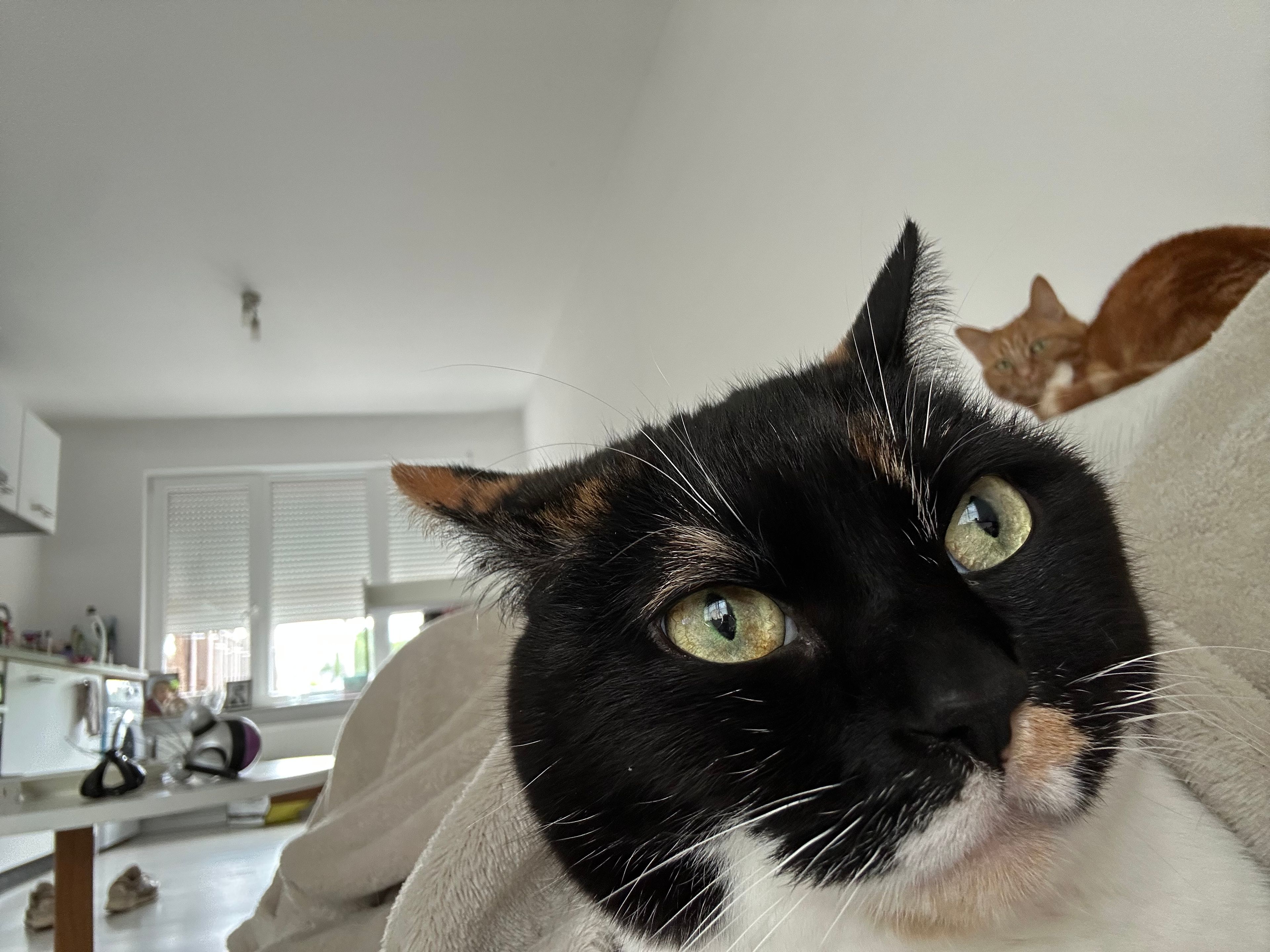 image-10