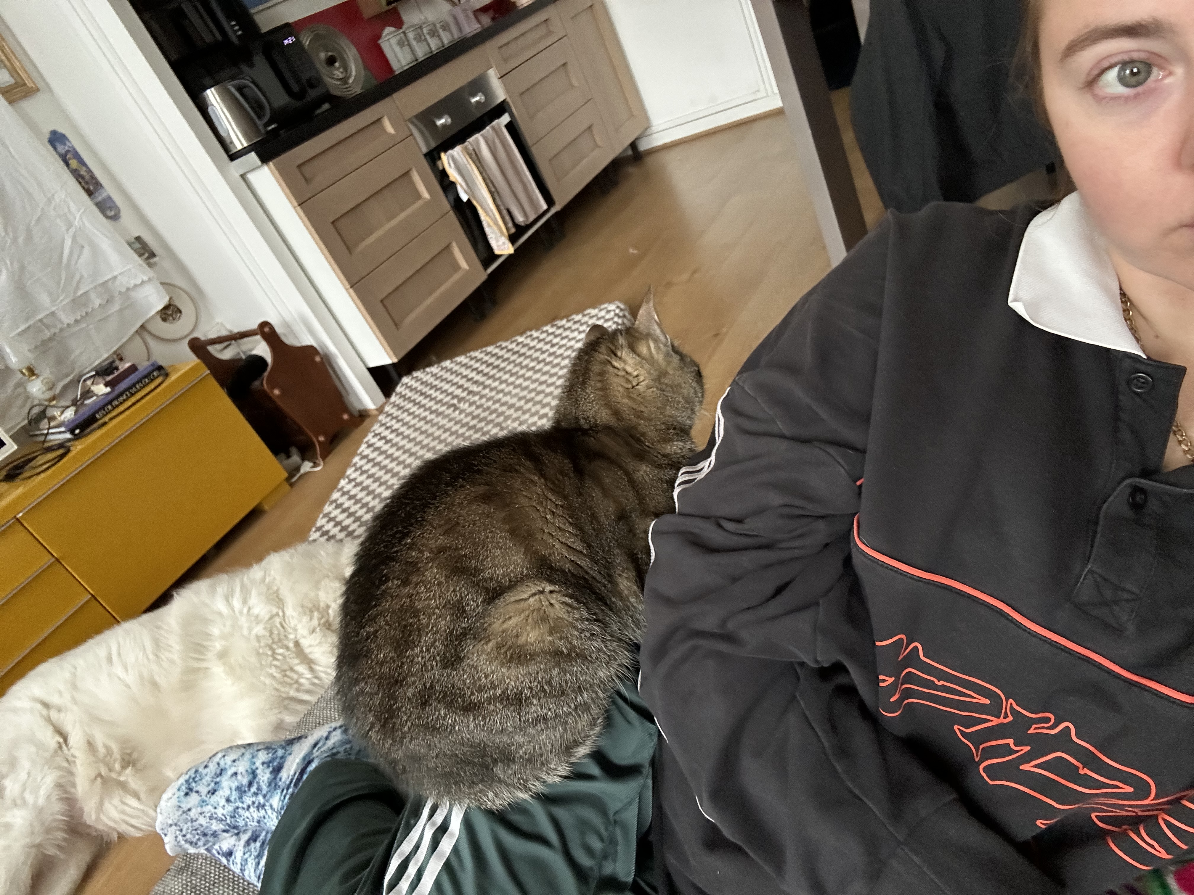image-8