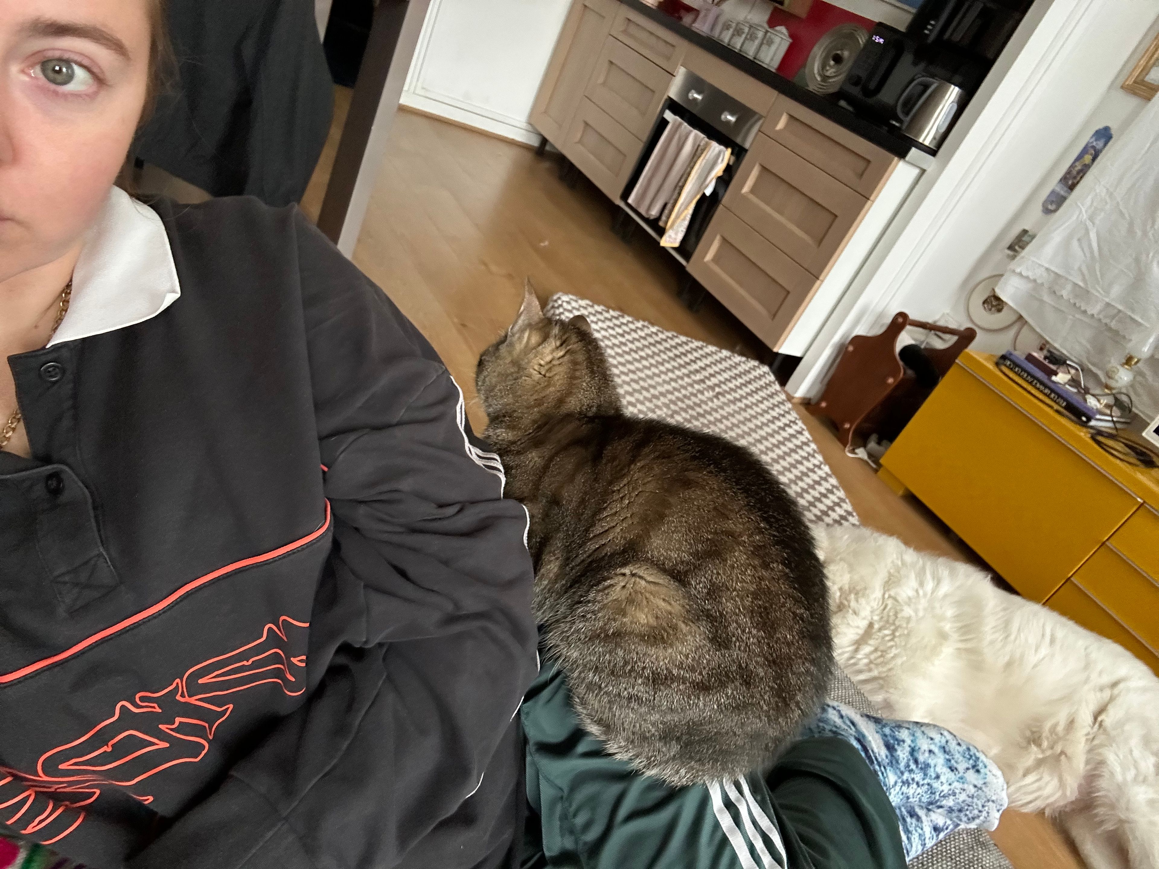 image-8