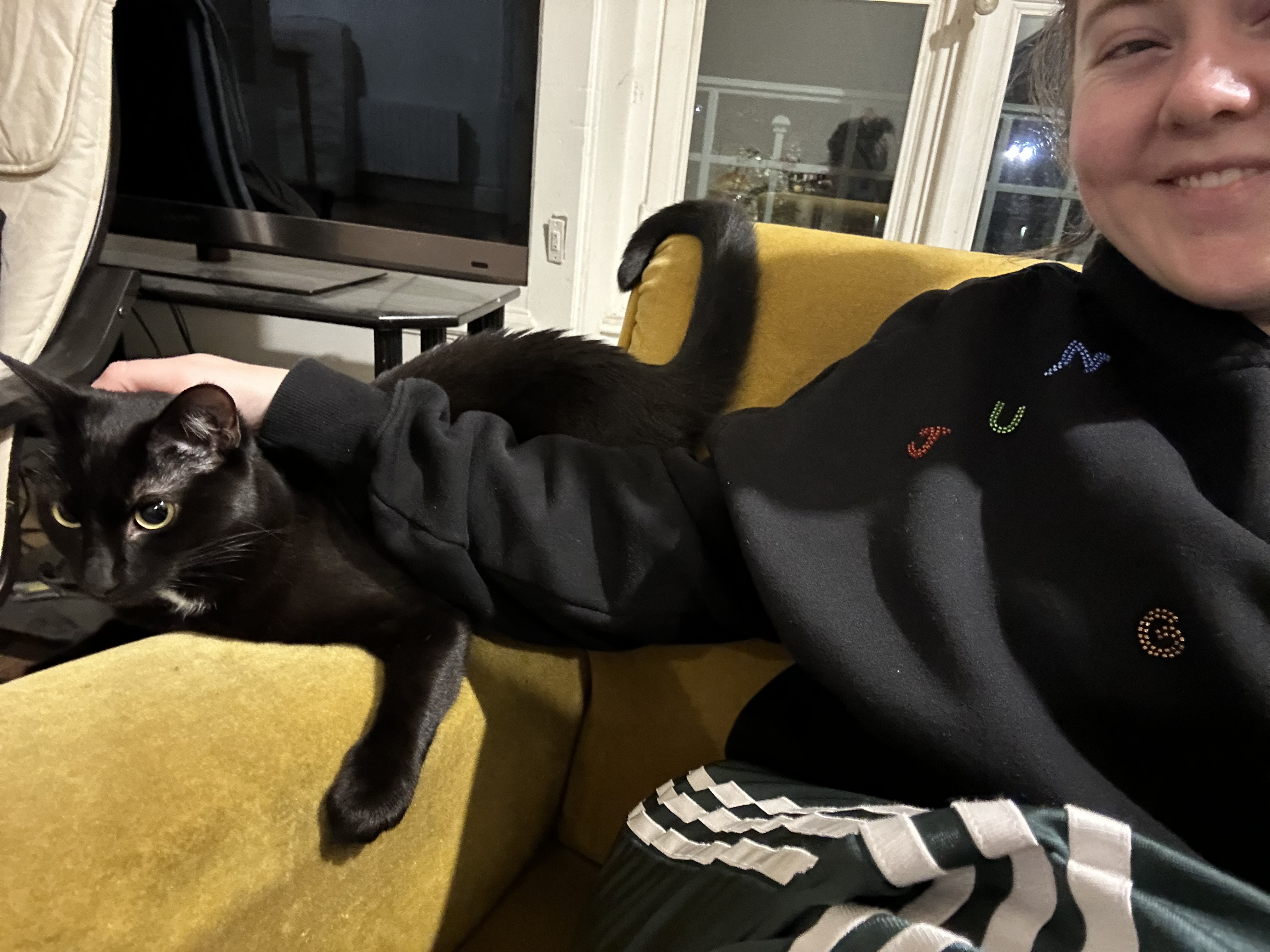image-12