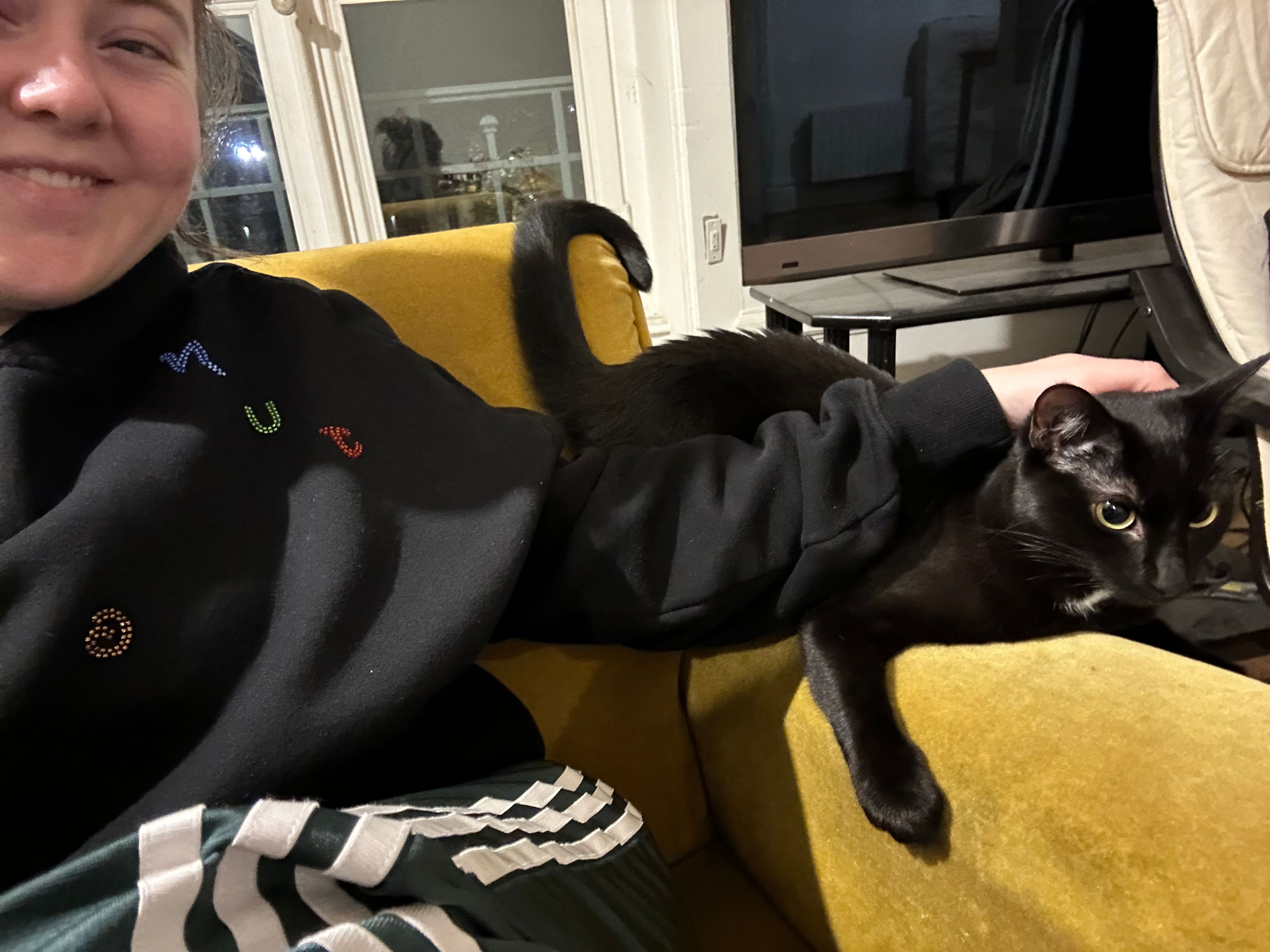 image-12