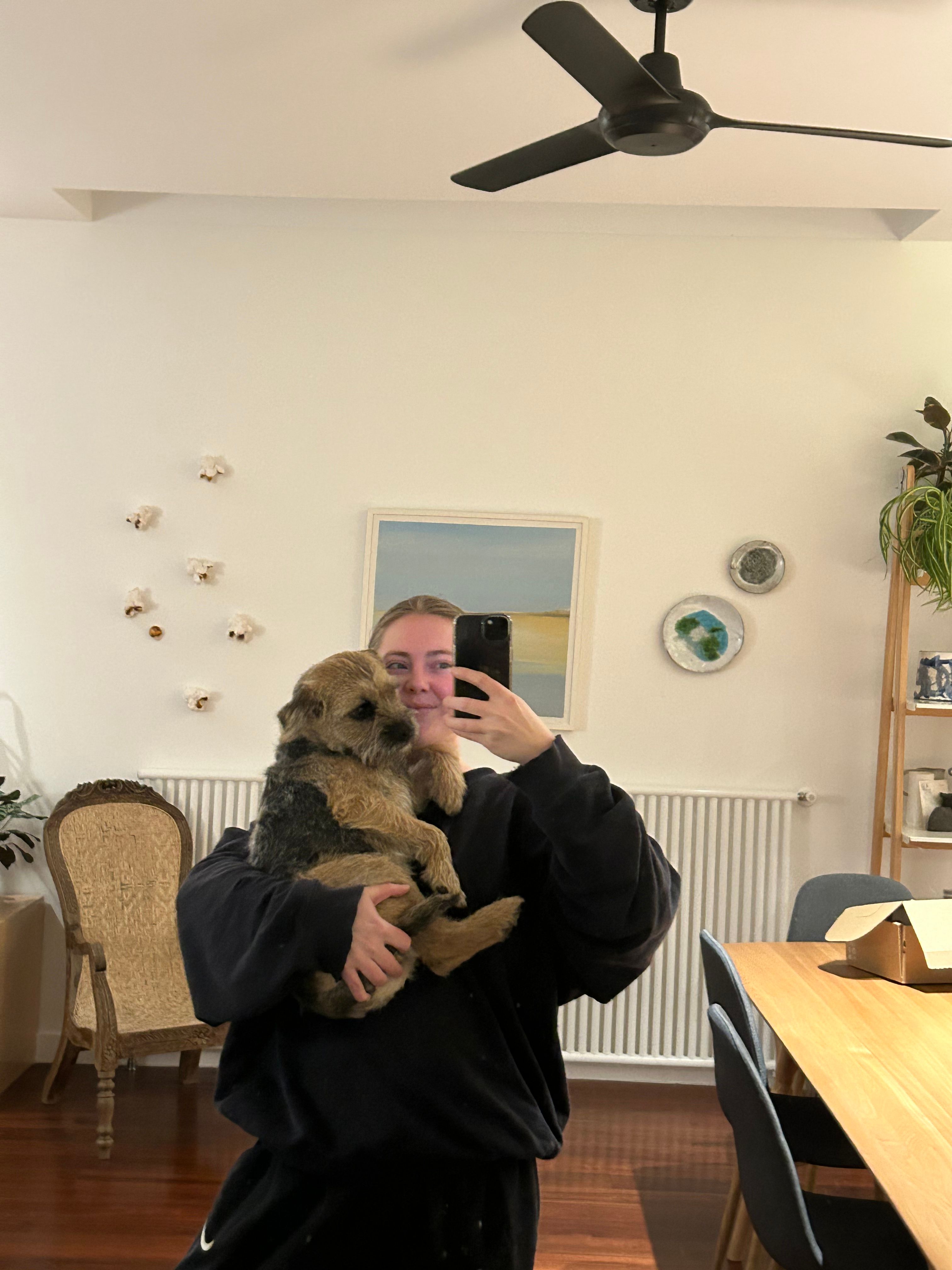 image-11