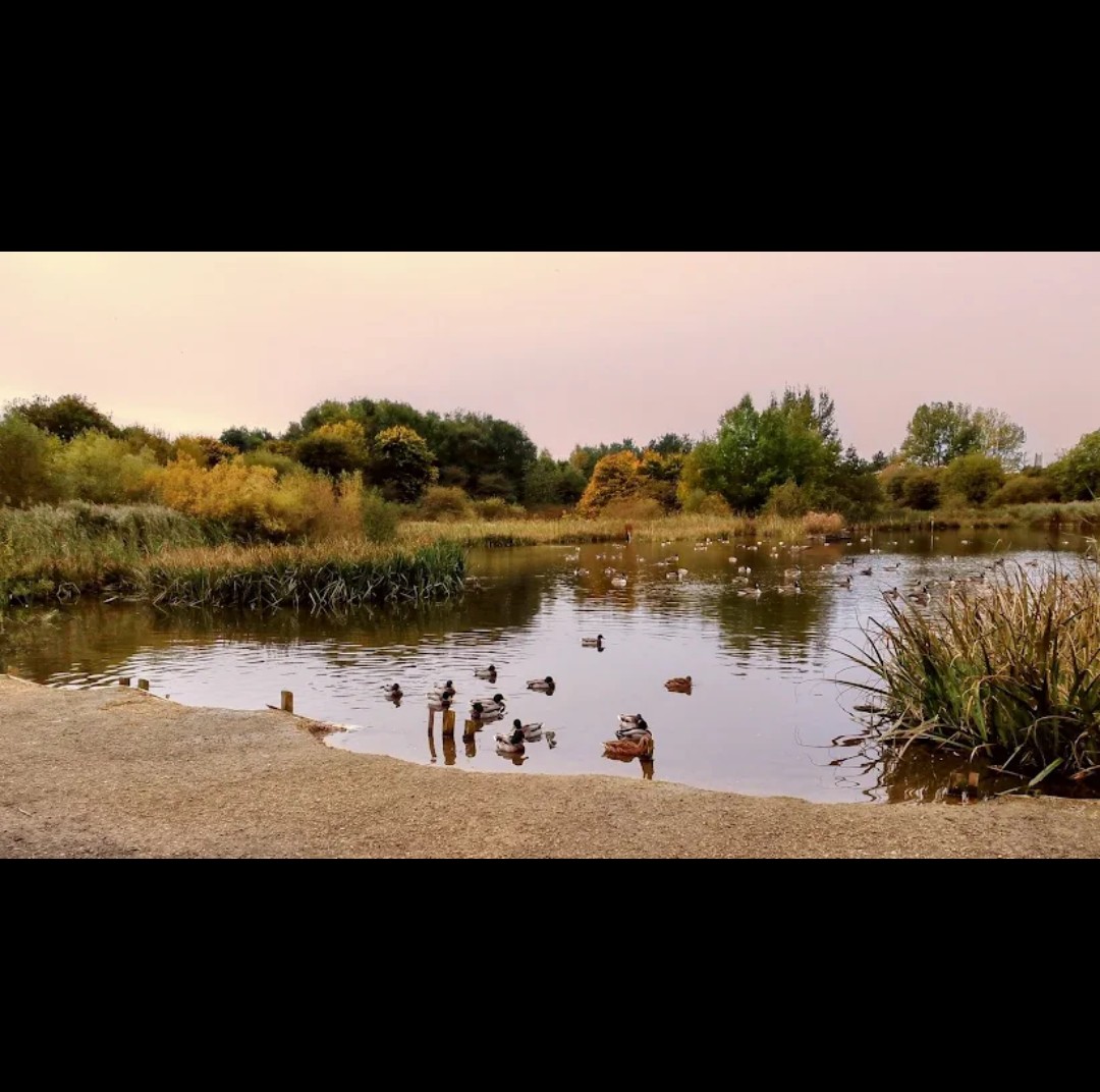 image-14