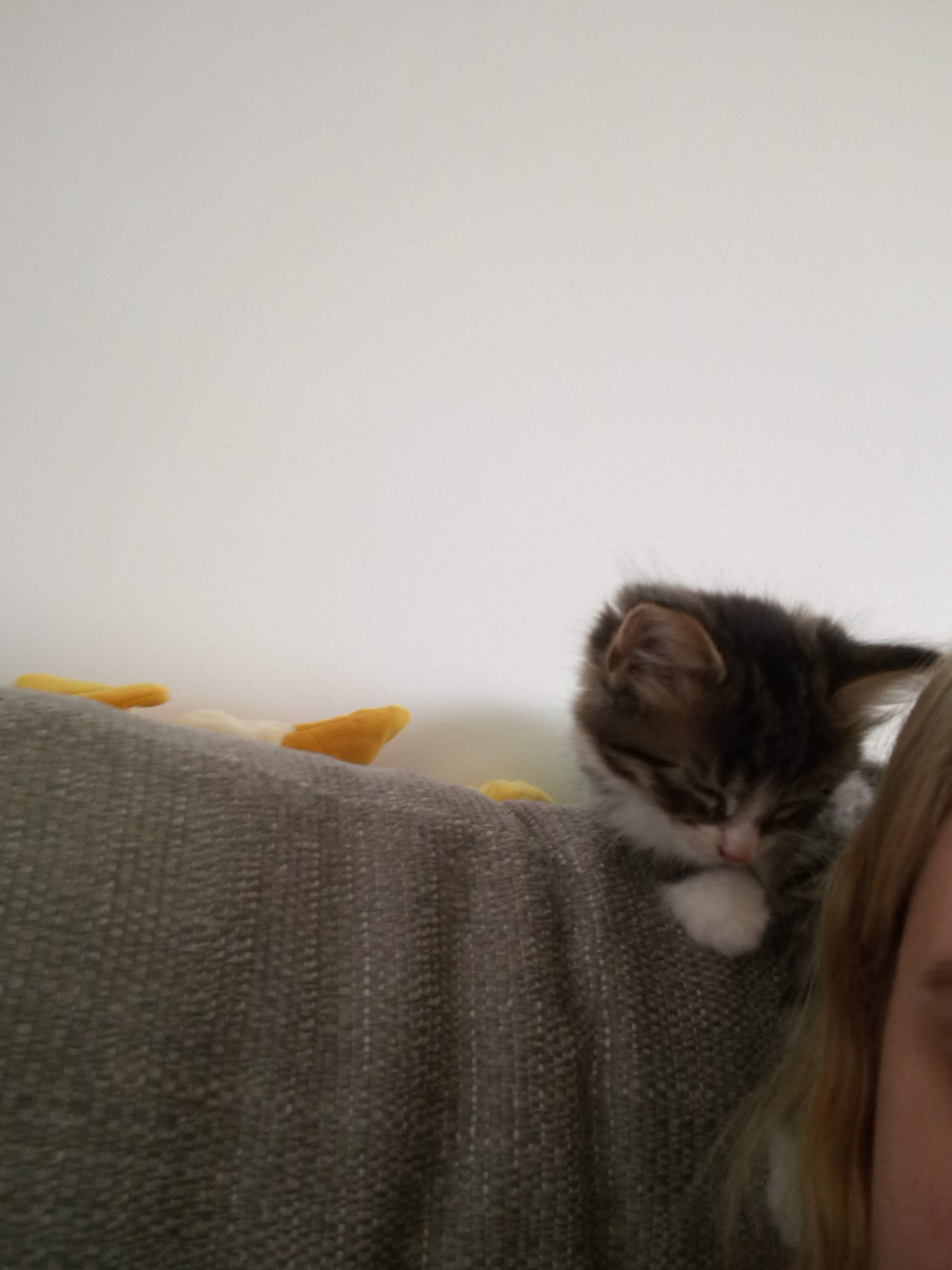 image-6