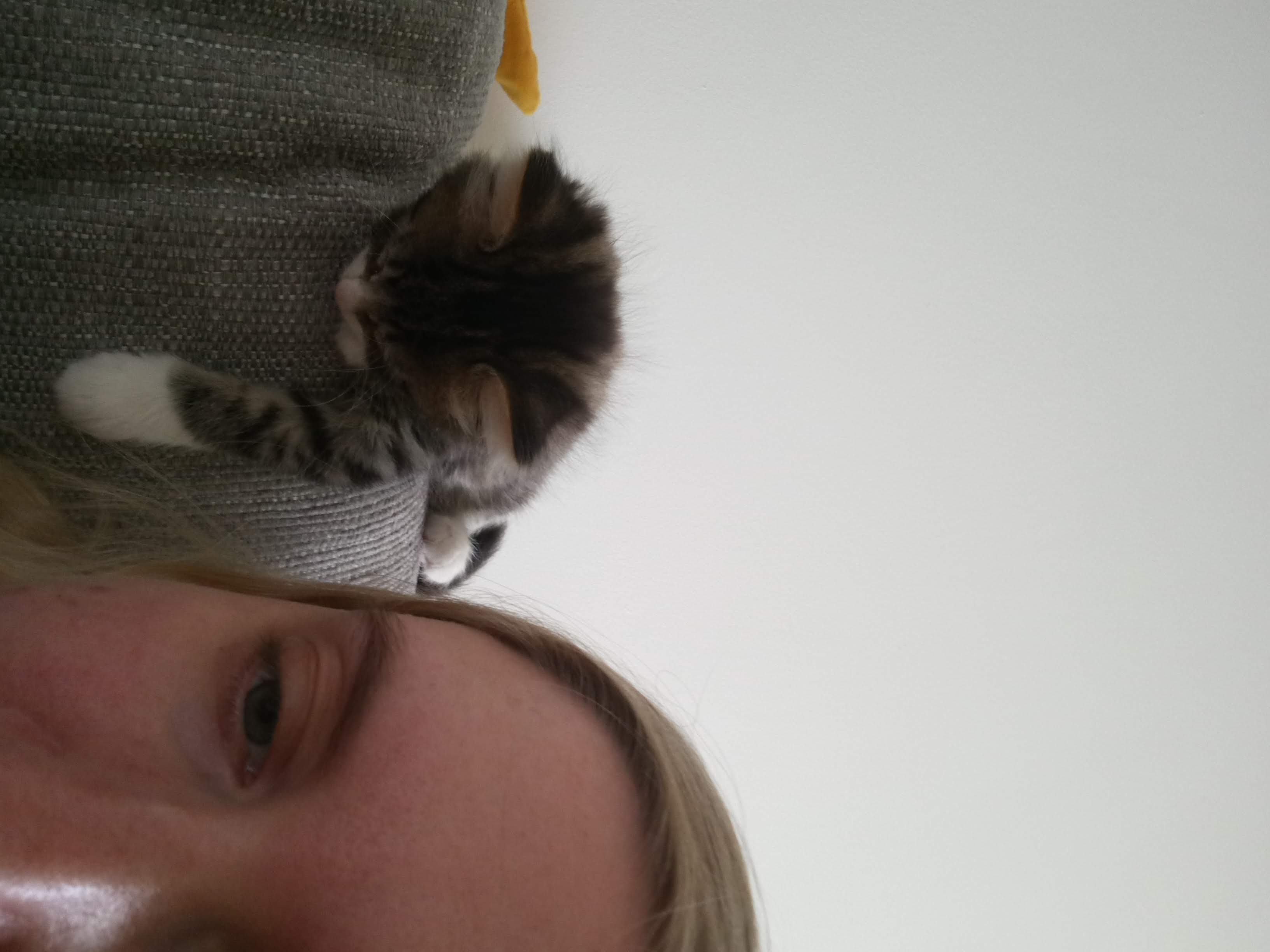 image-5