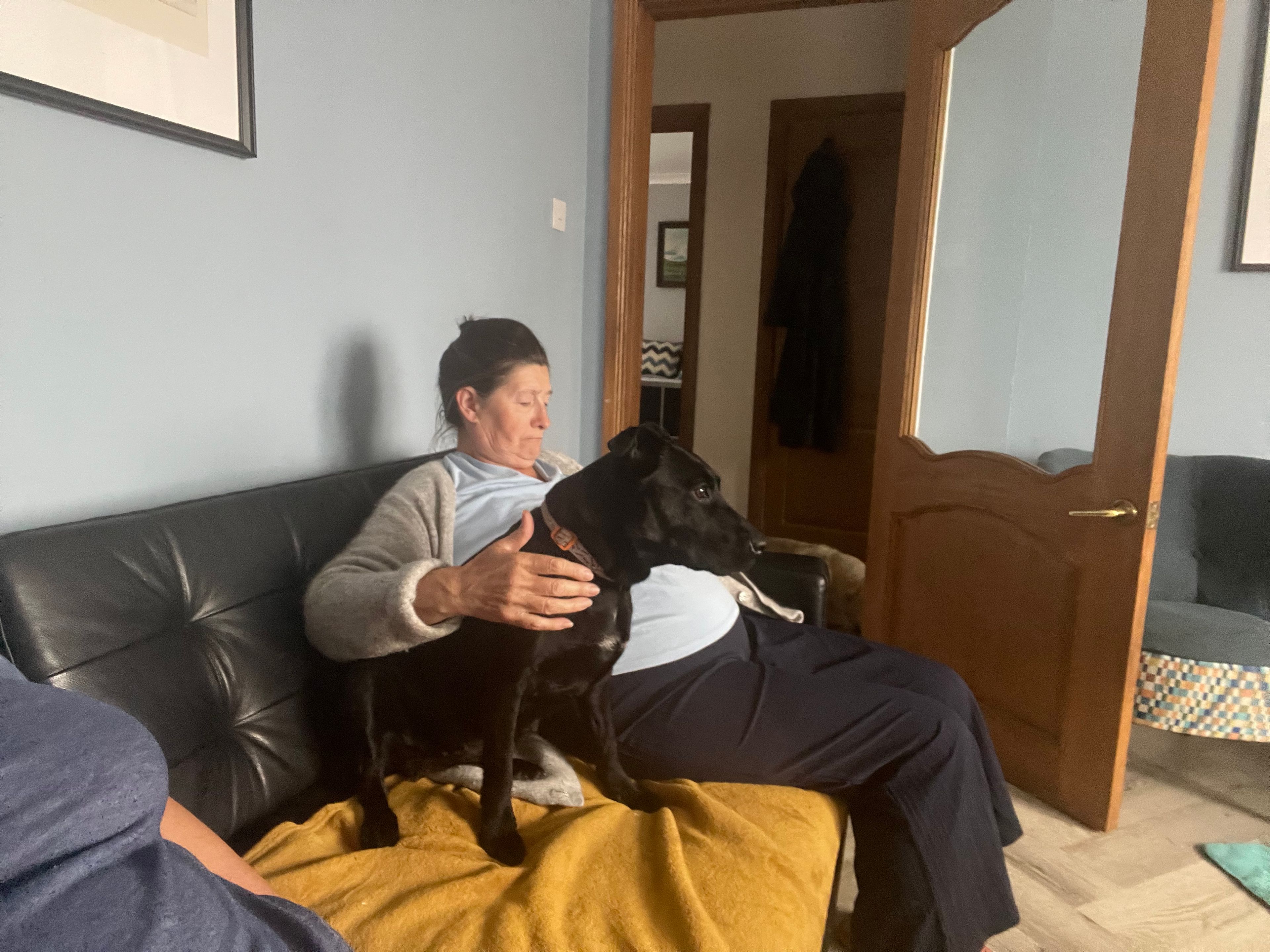 image-10
