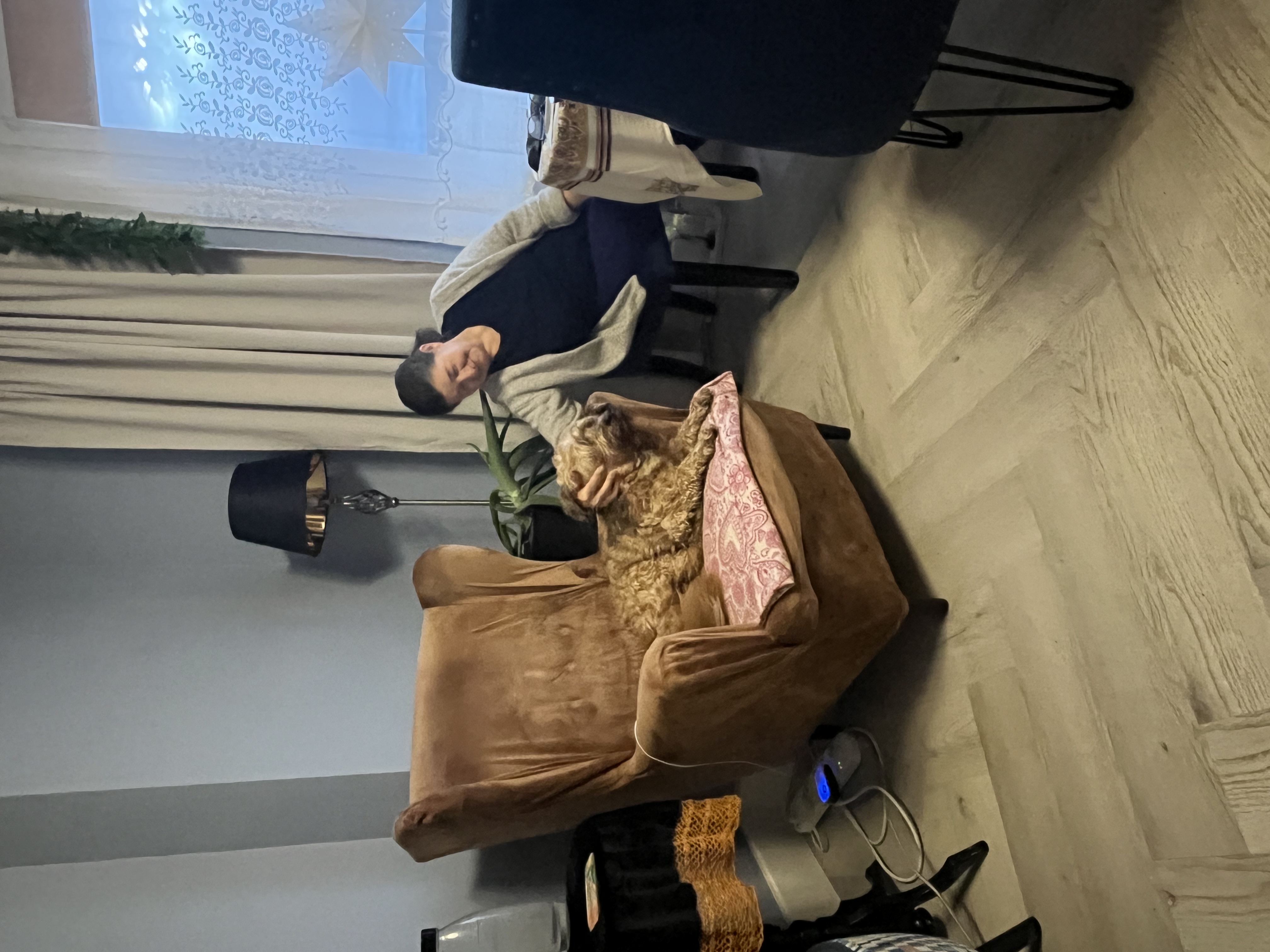 image-6