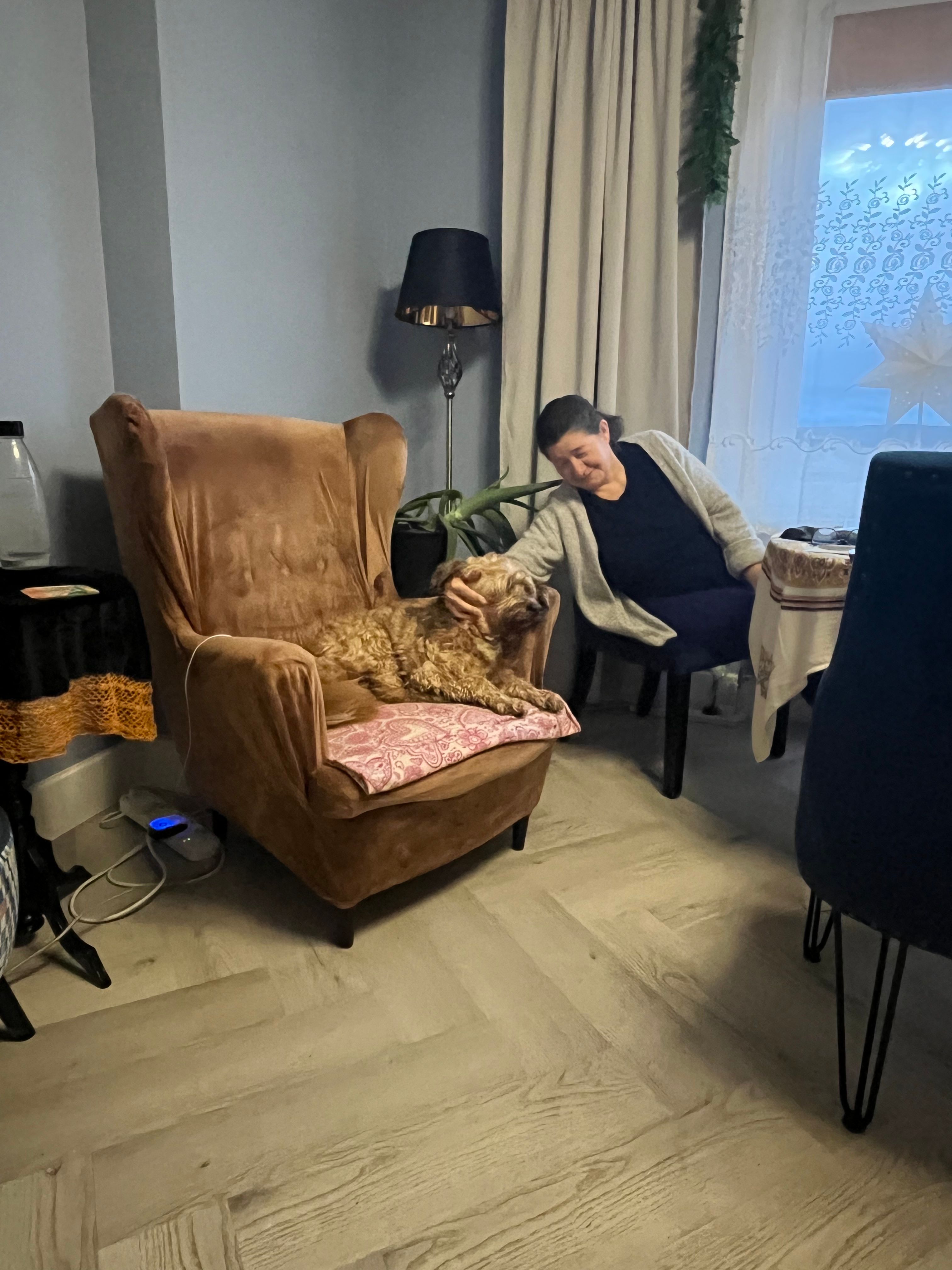 image-6