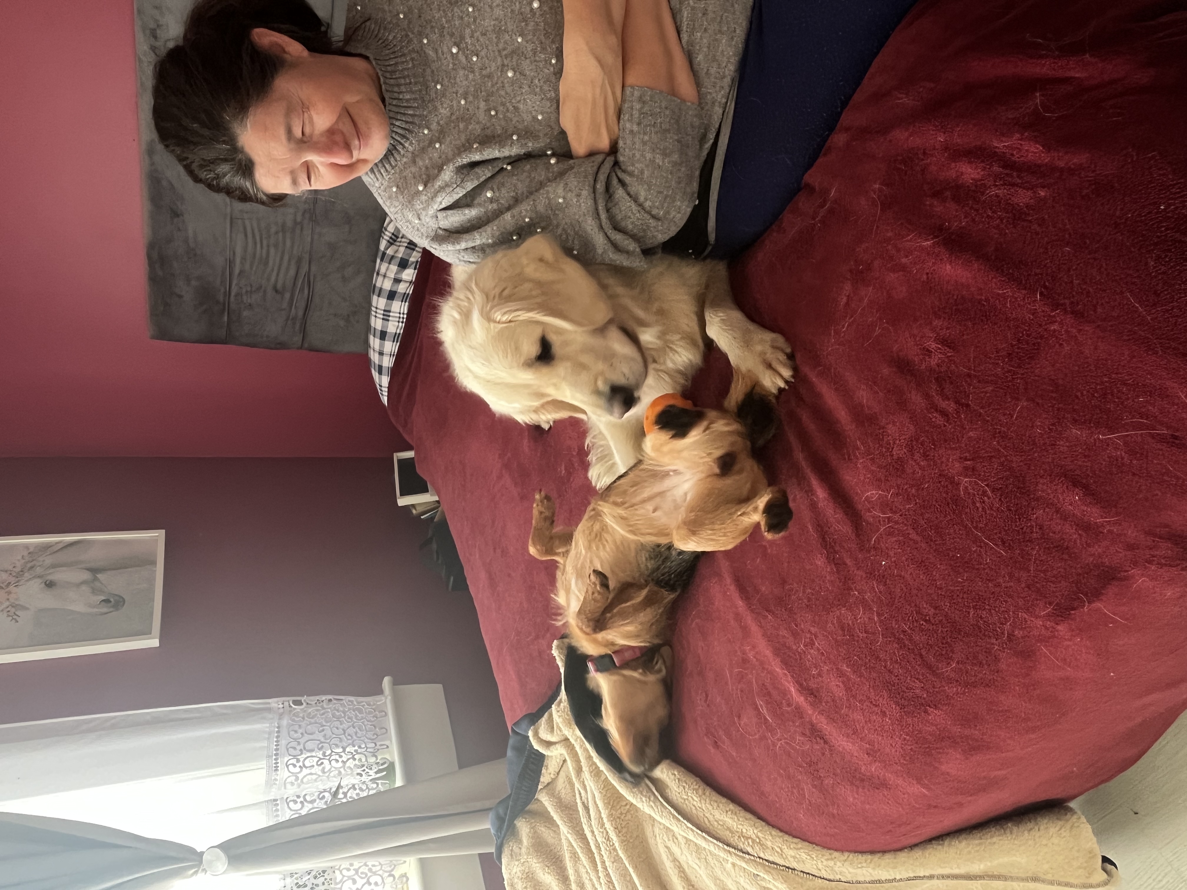 image-7