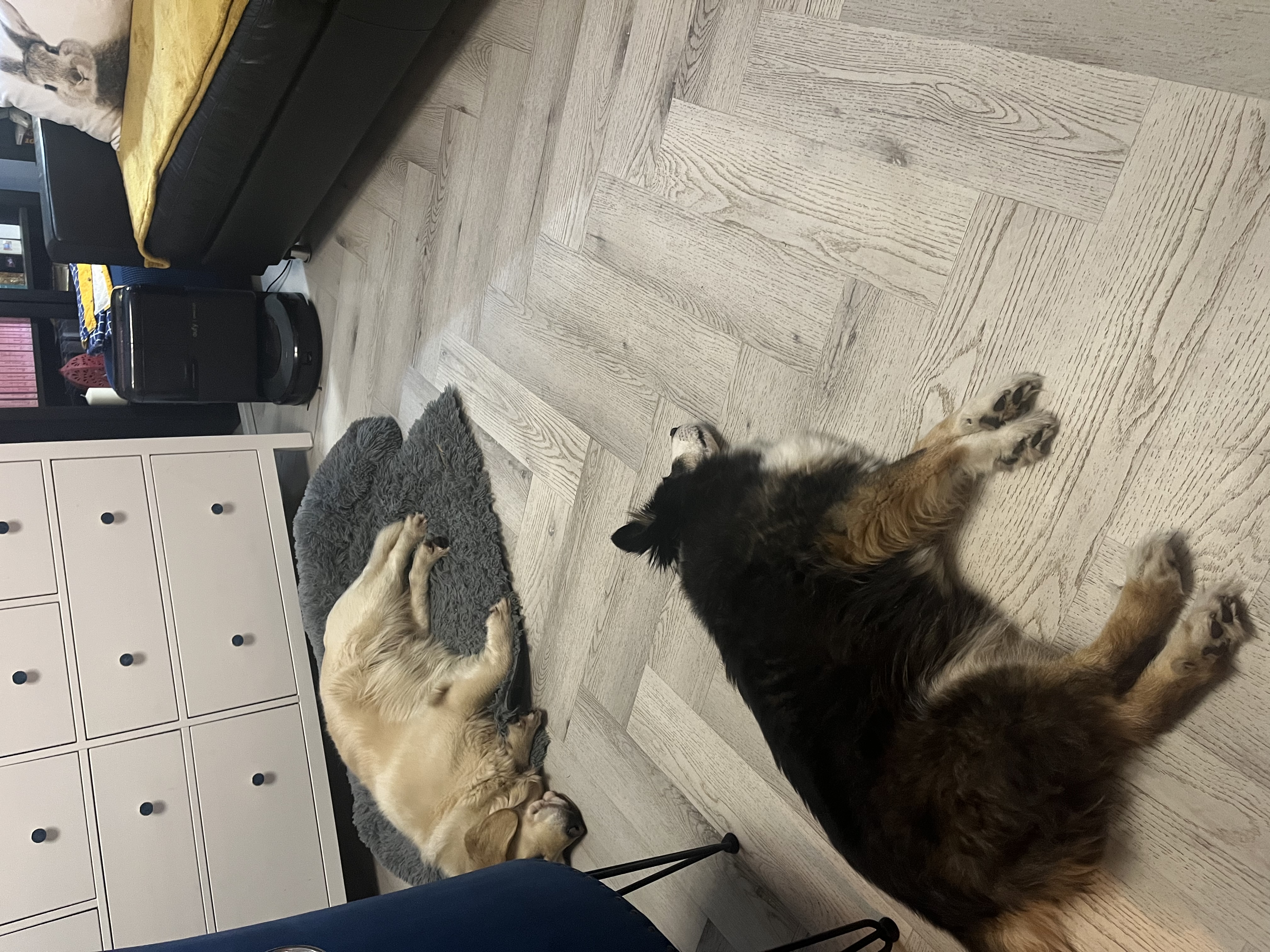 image-12