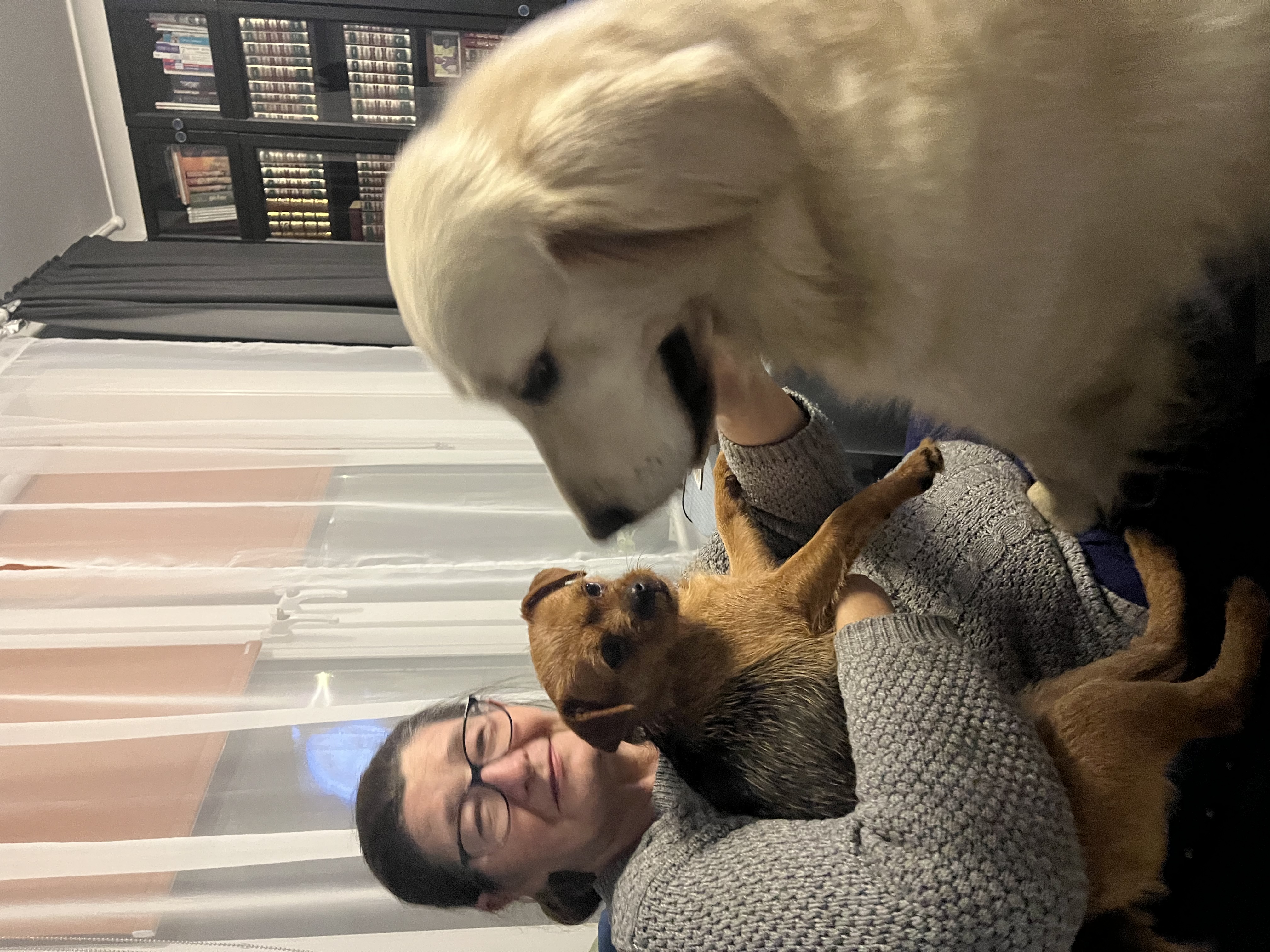 image-8
