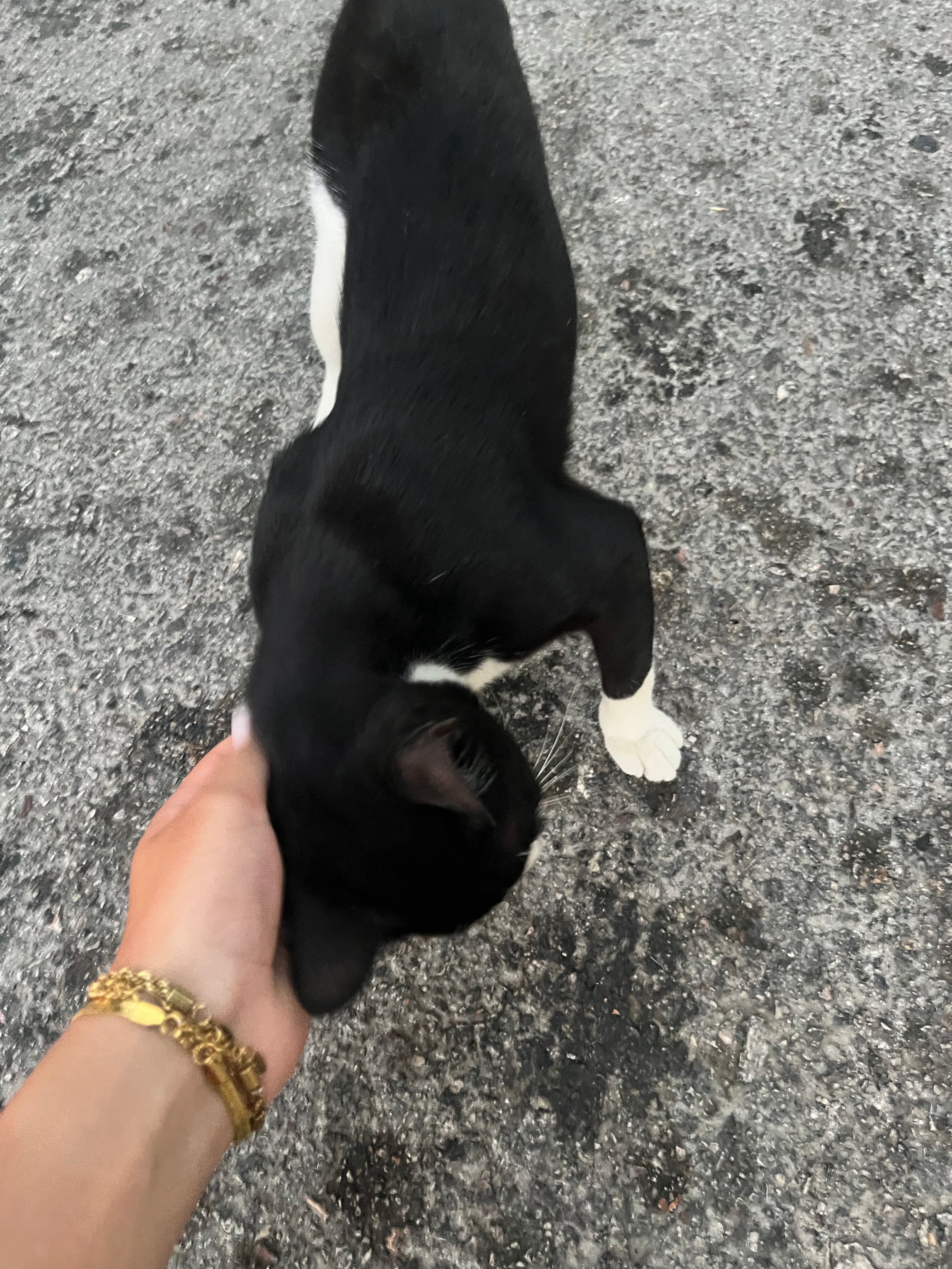 image-6