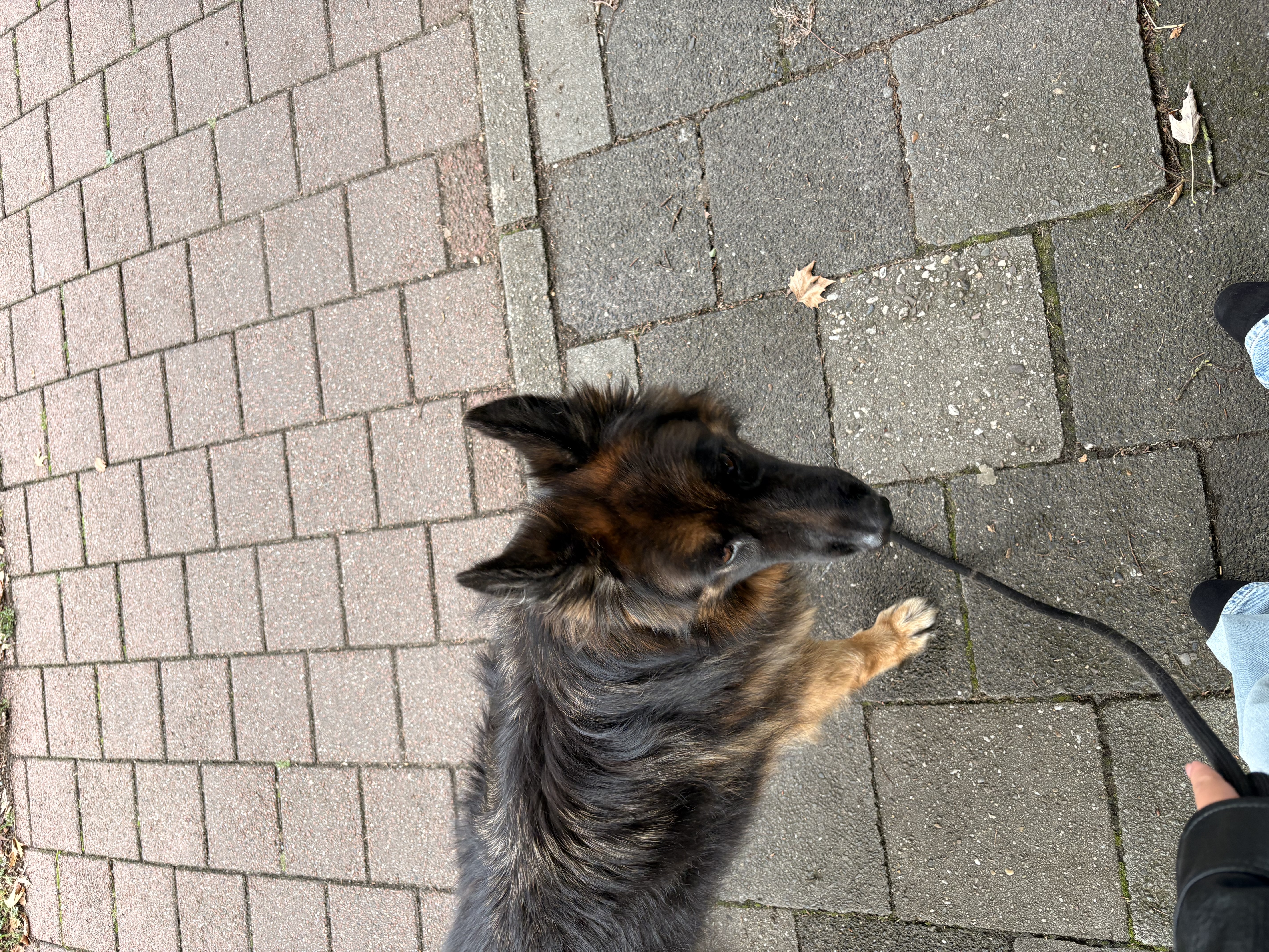 image-2