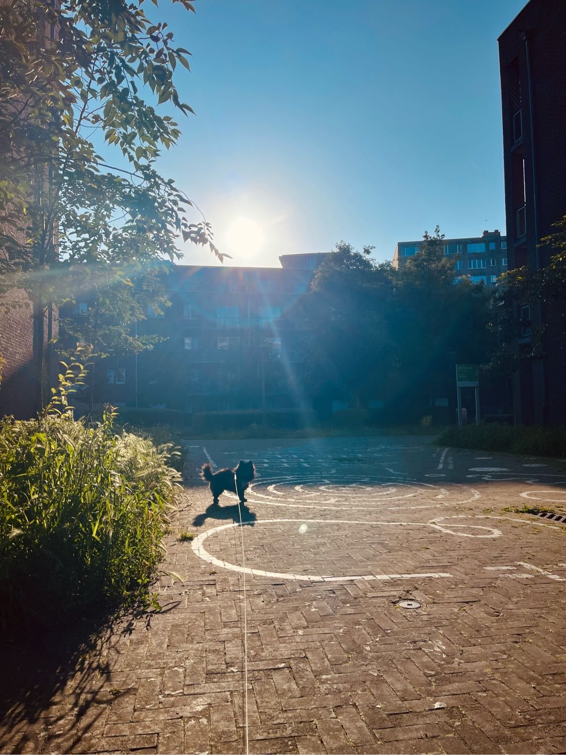 image-5