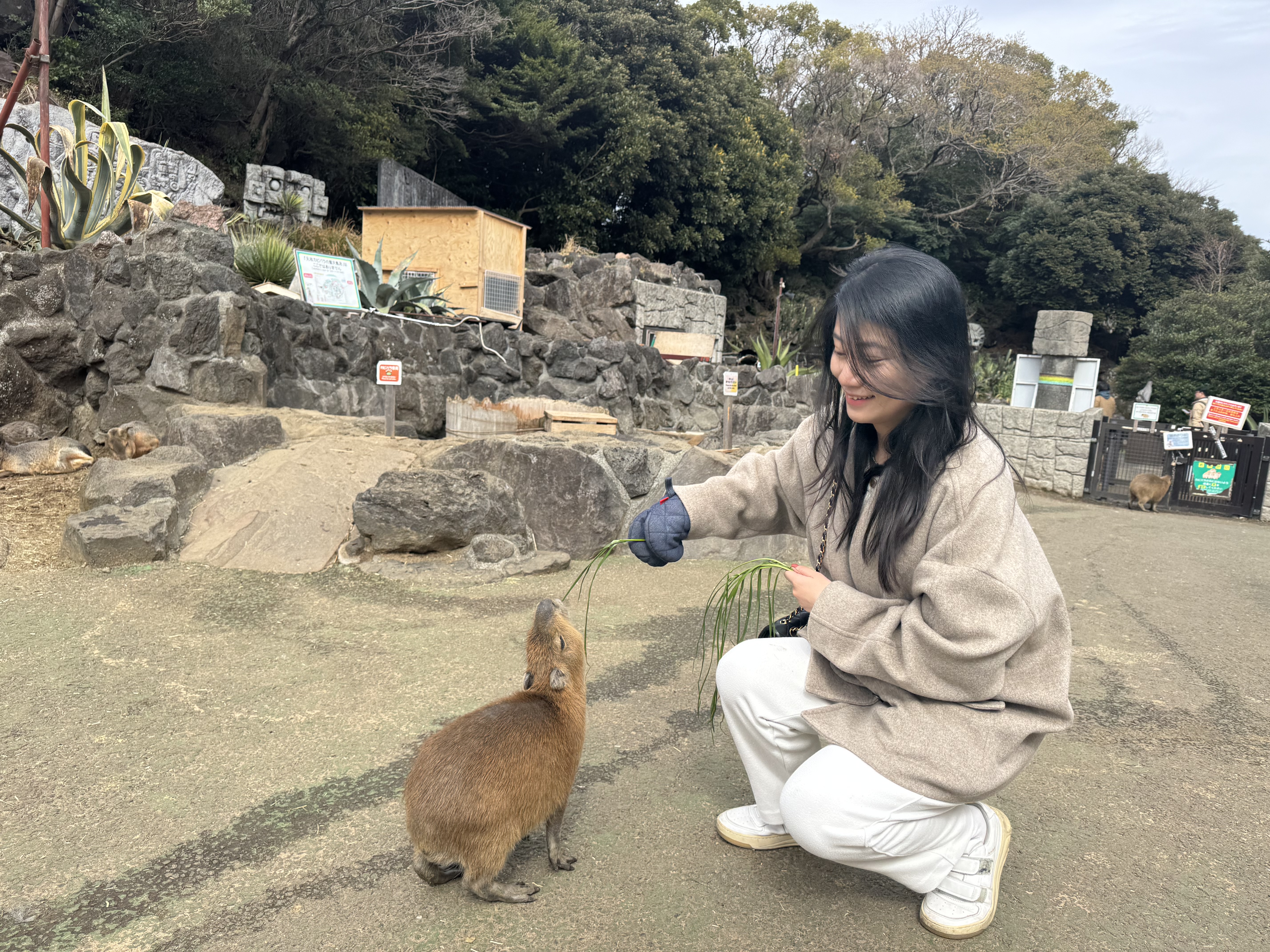 image-6