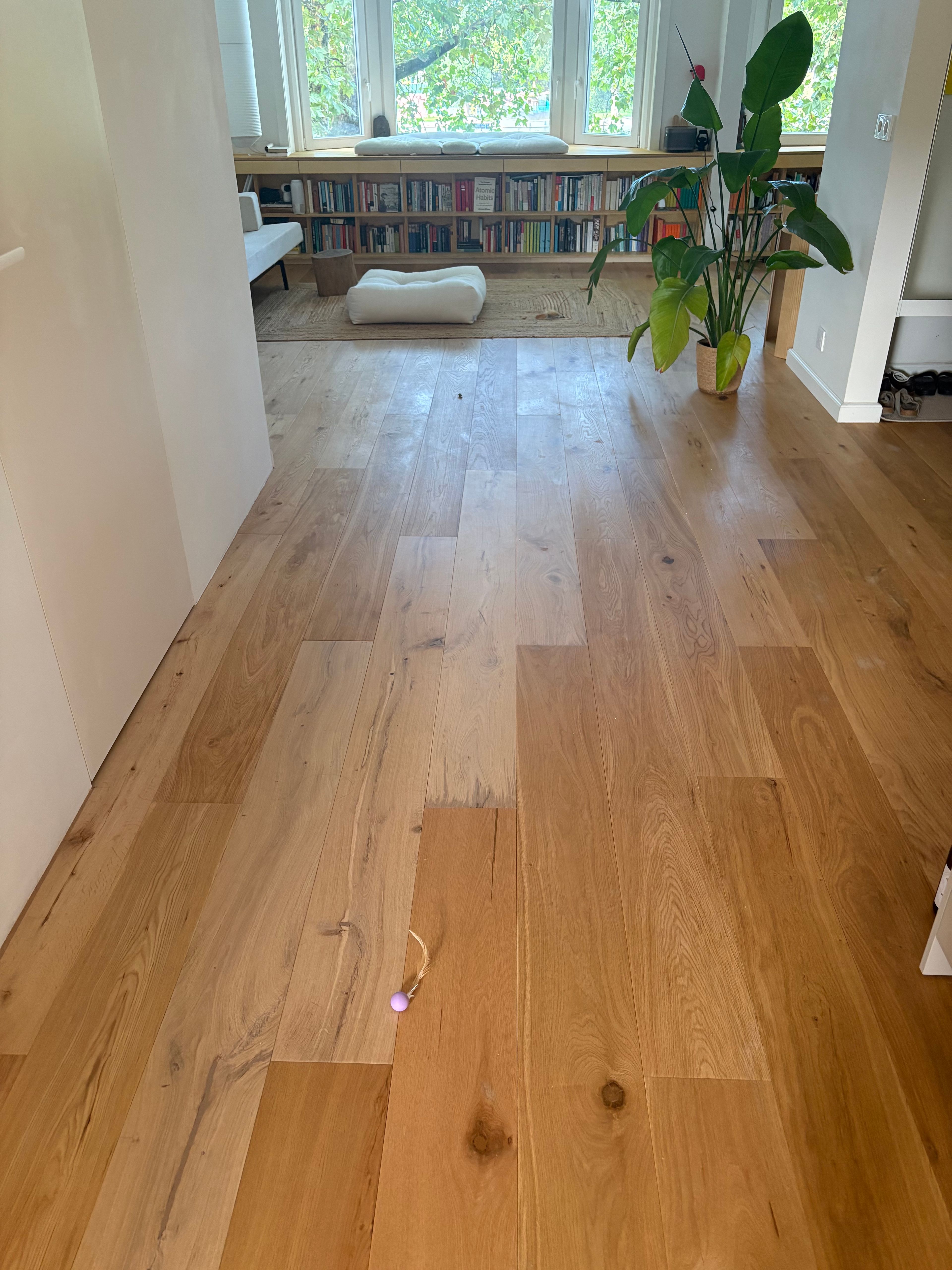 image-13