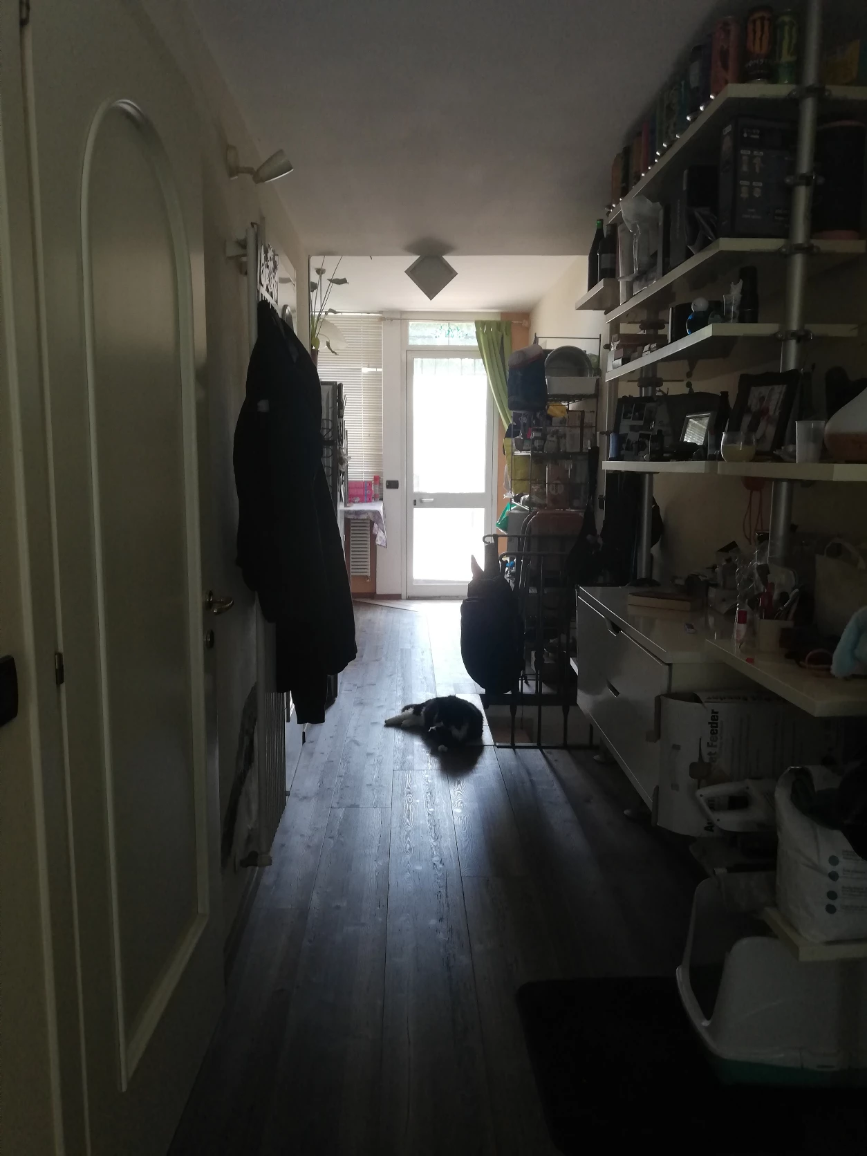 image-11