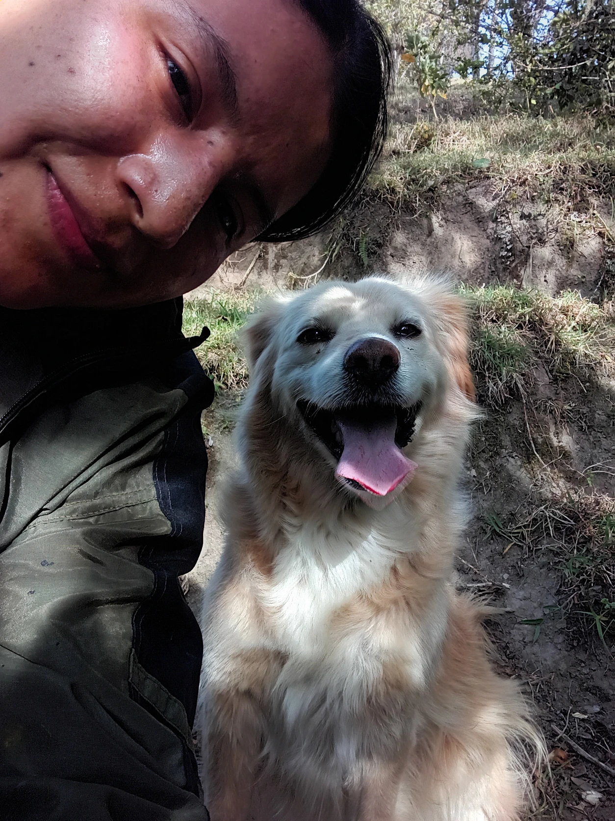 image-7