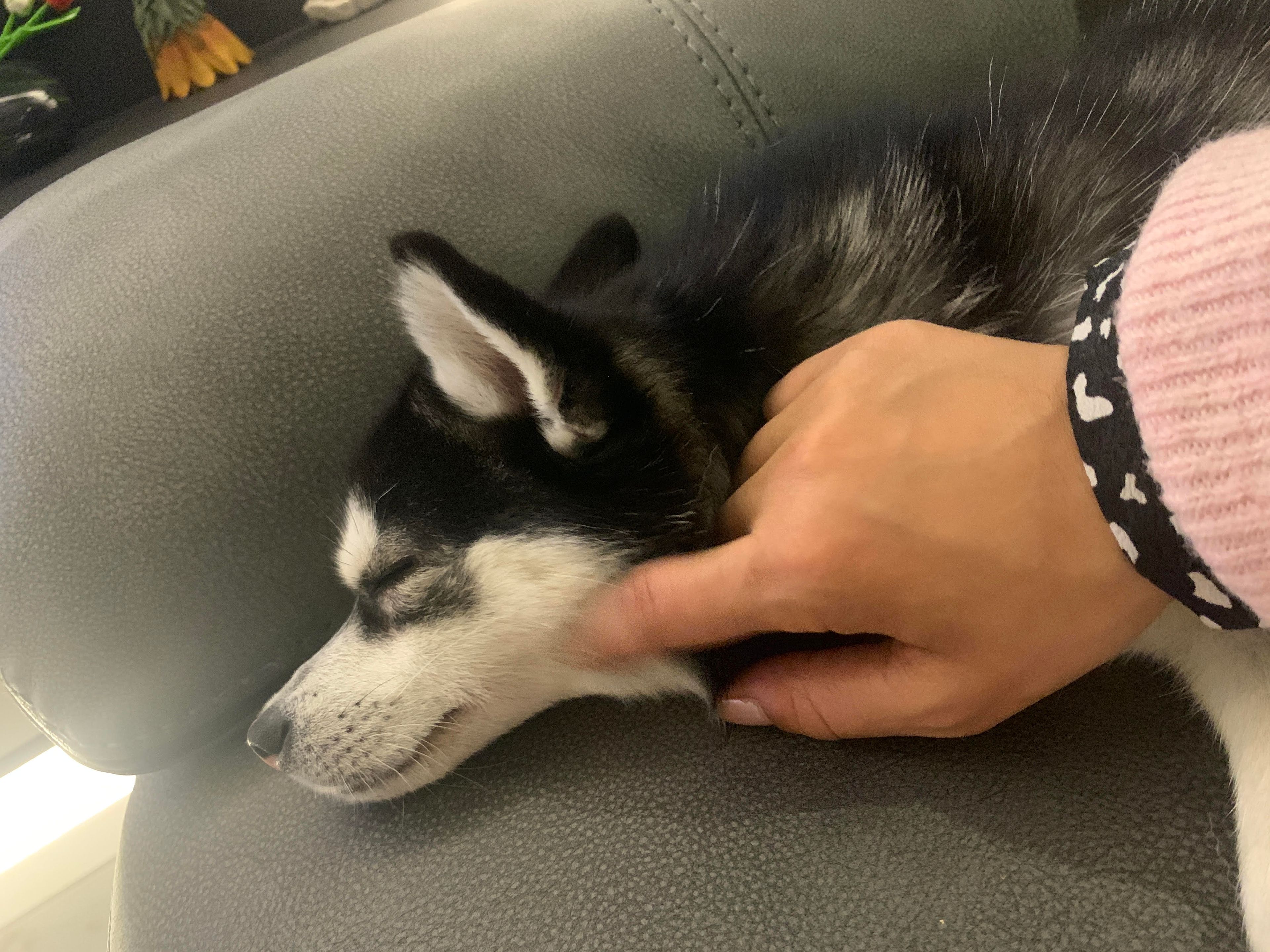image-8