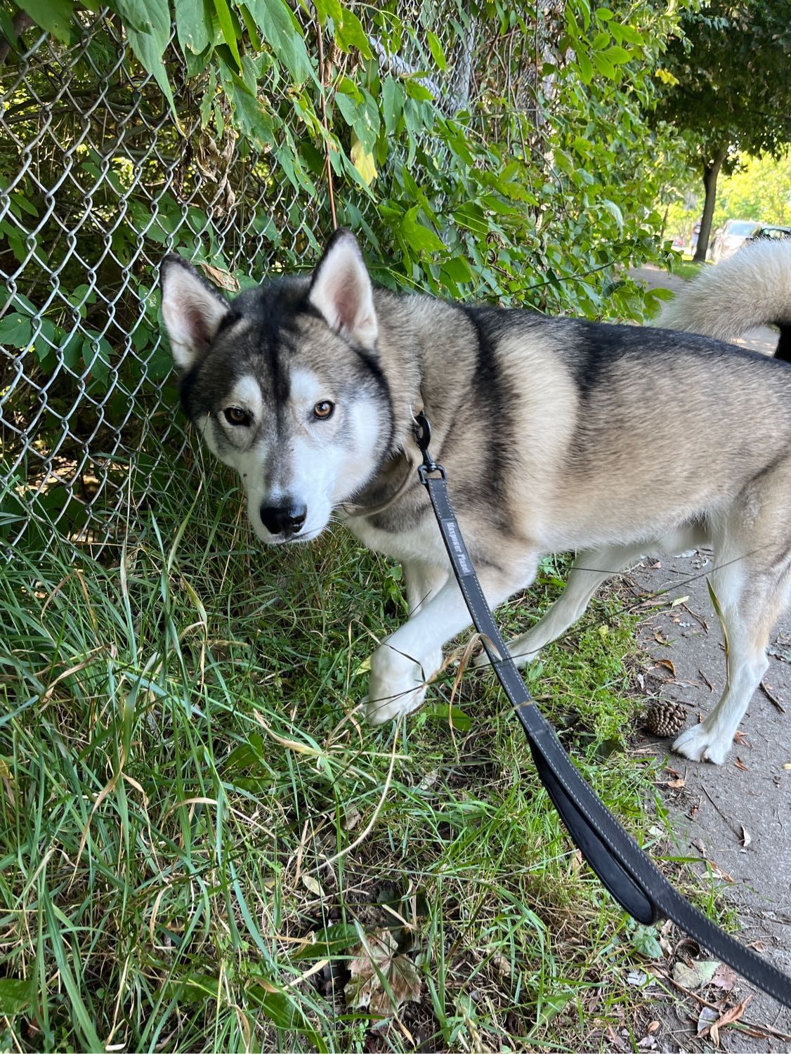 image-11