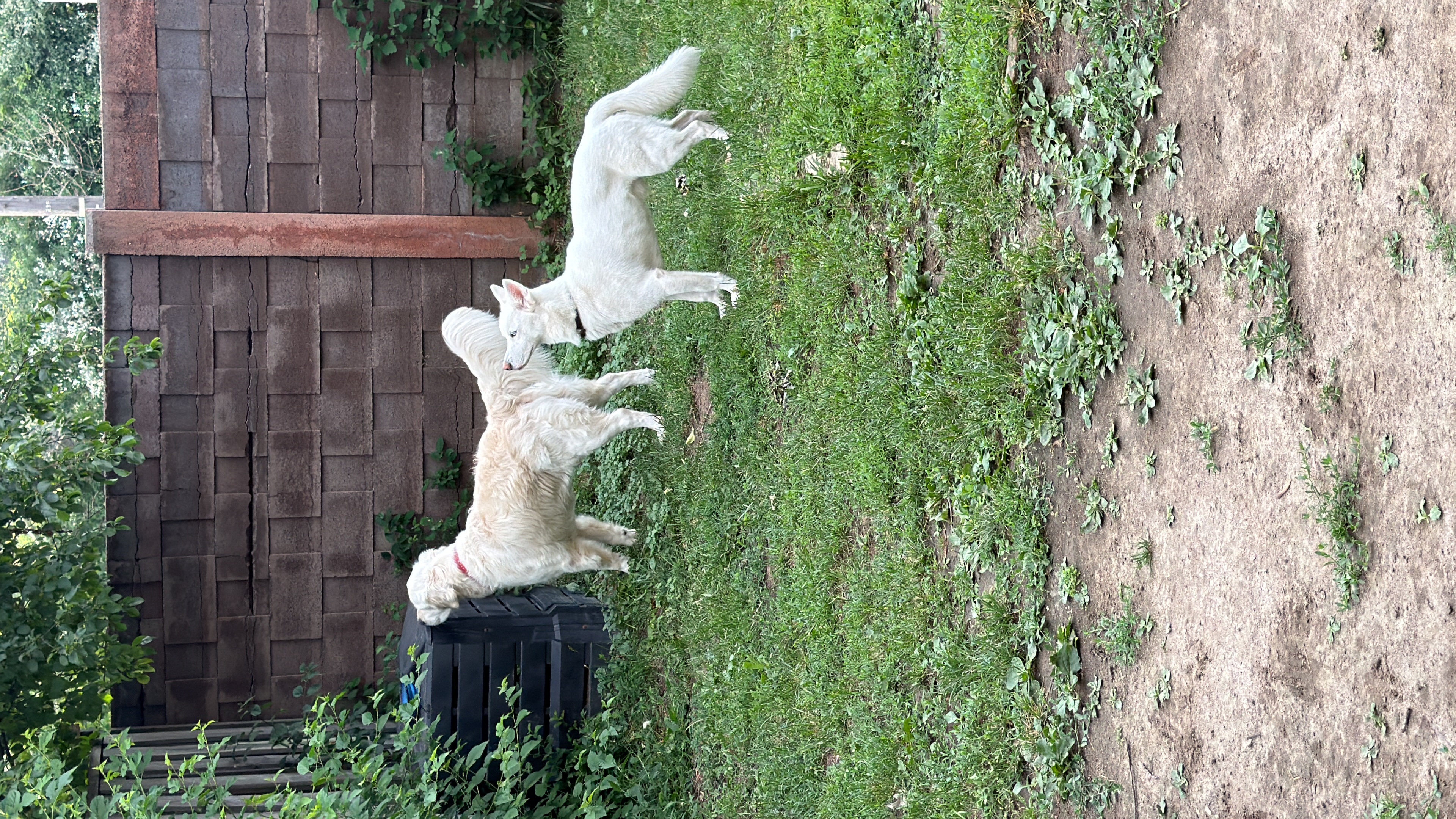 image-36