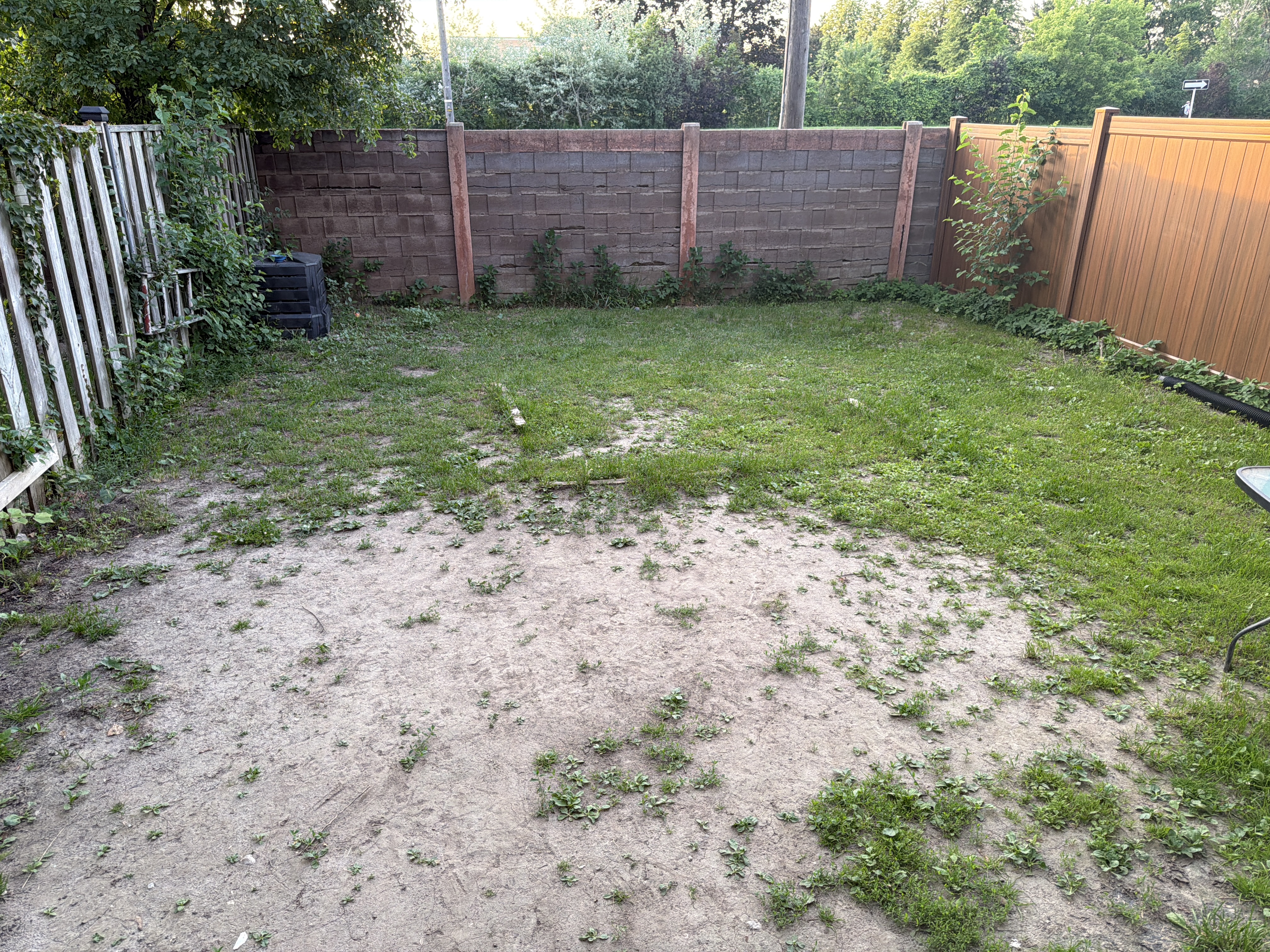 image-24