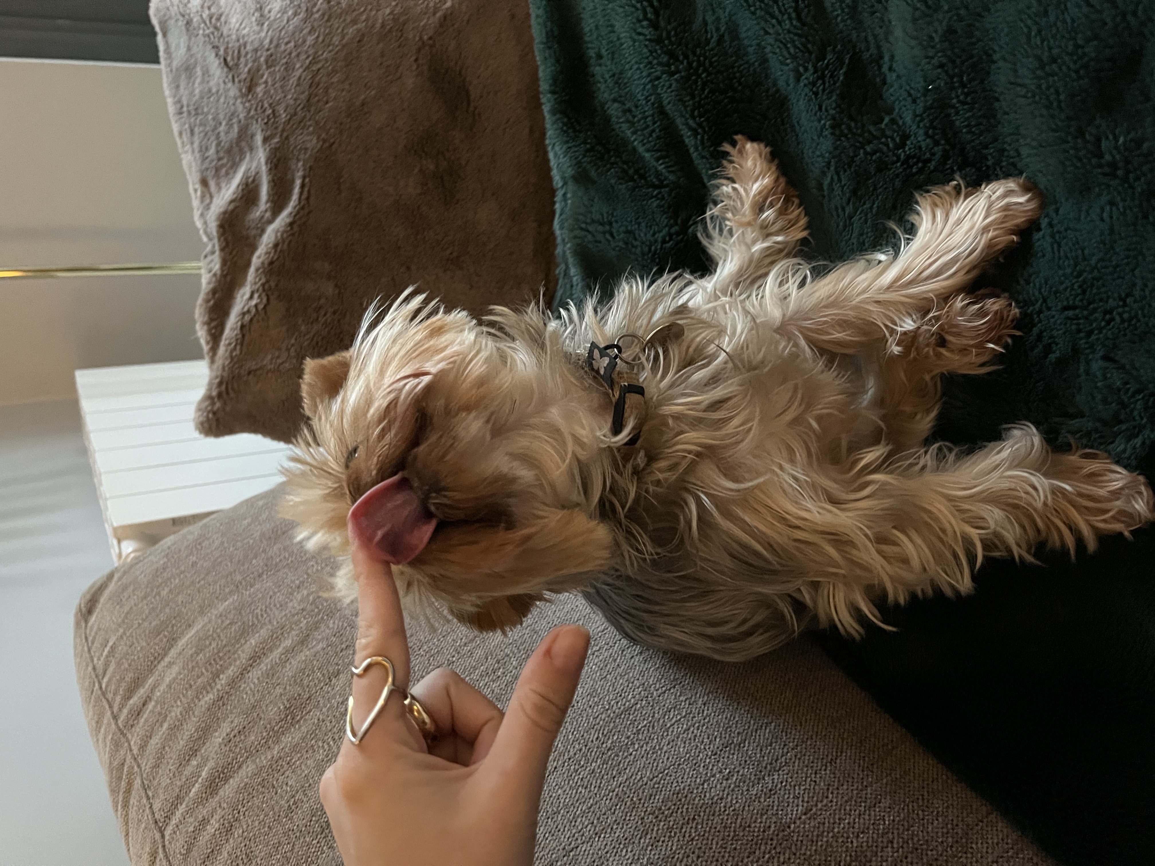 image-4