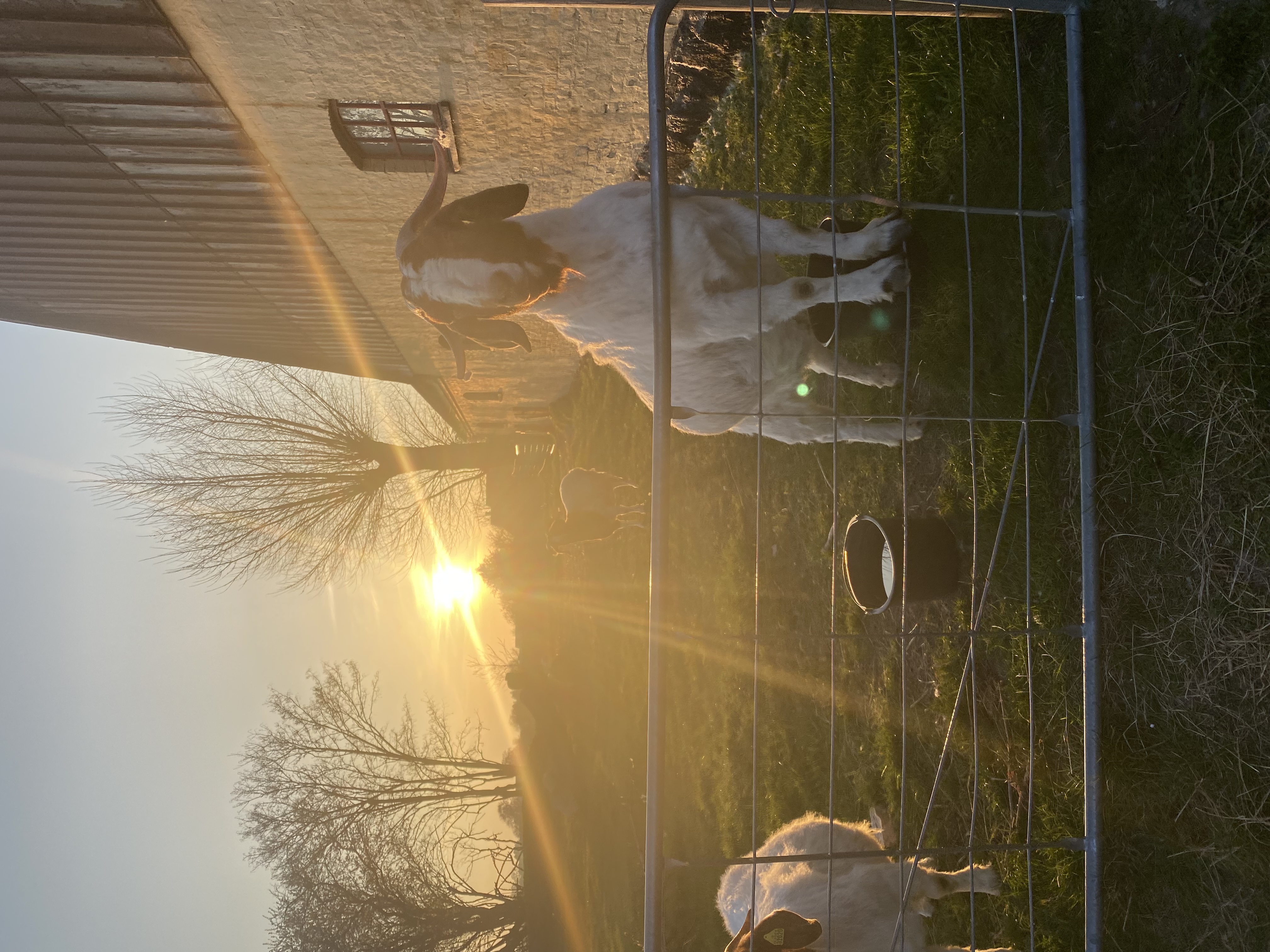 image-8