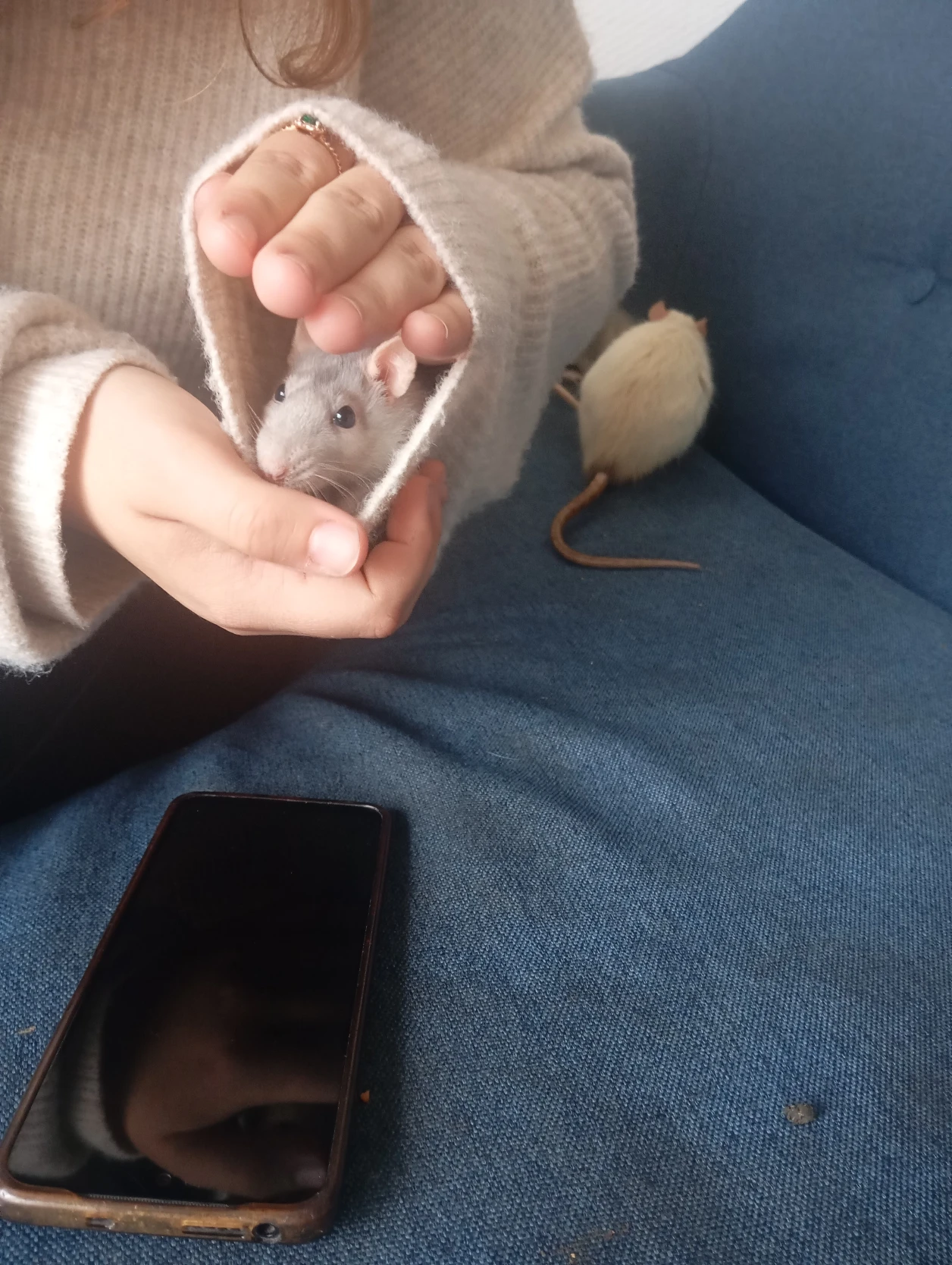 image-9