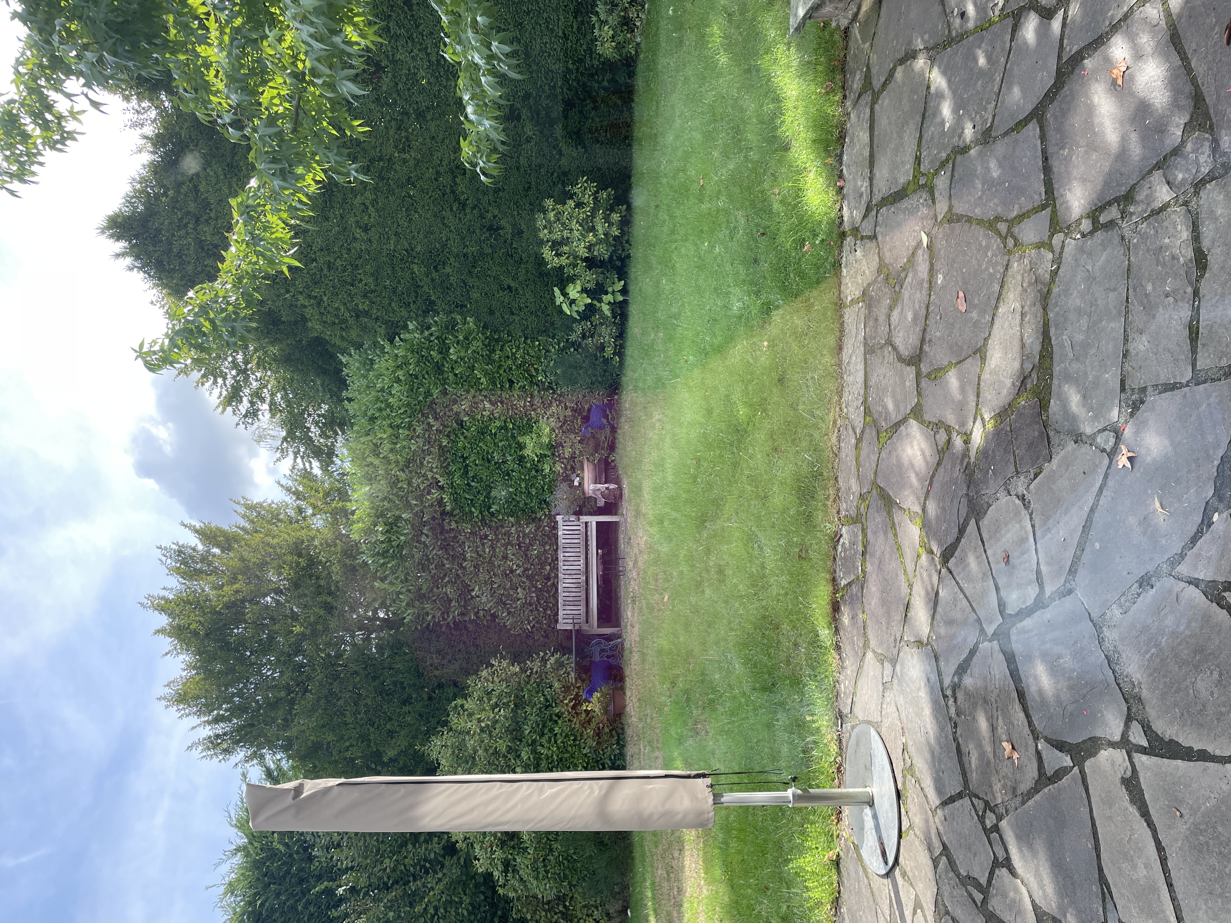 image-14