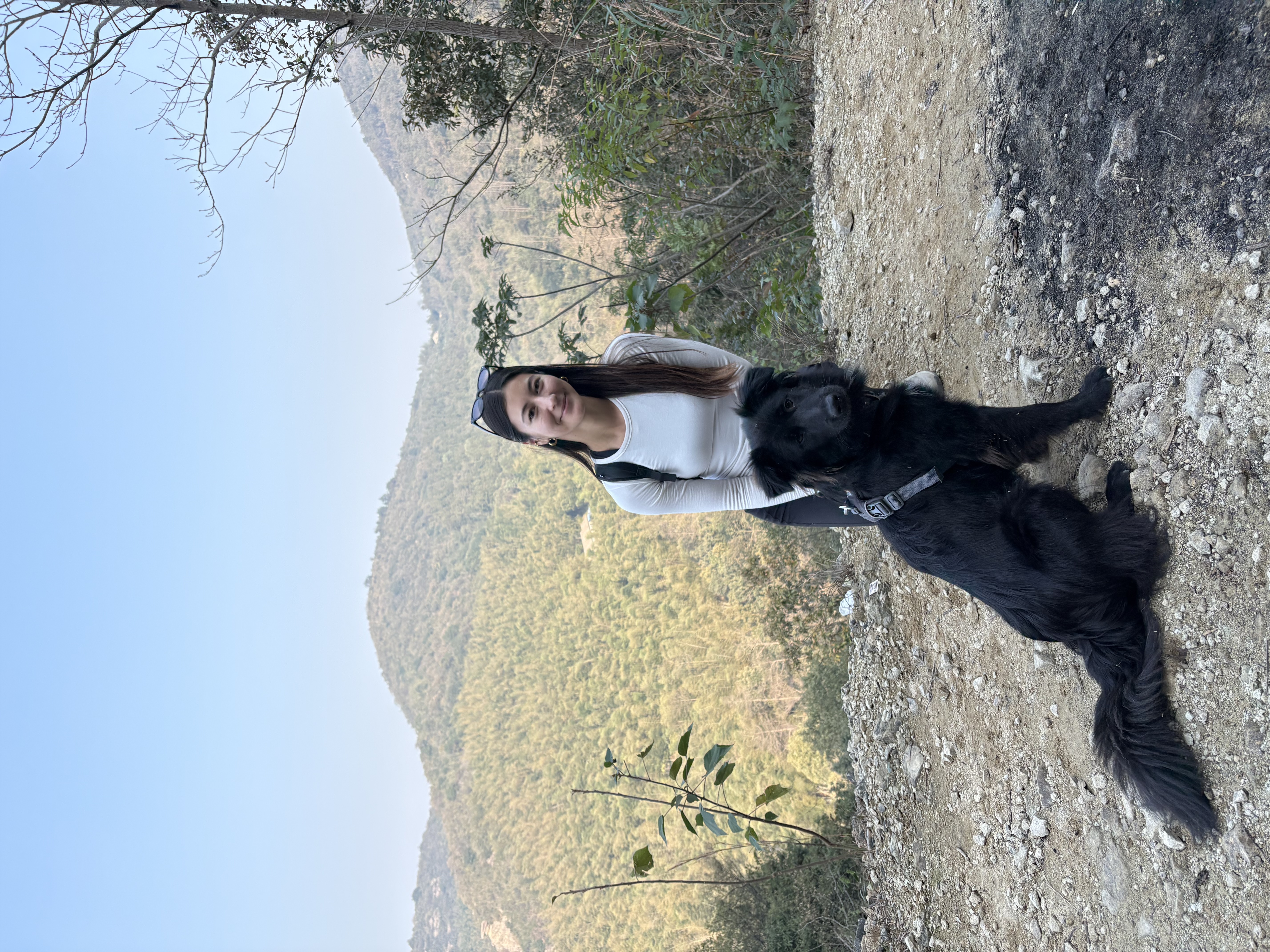 image-5