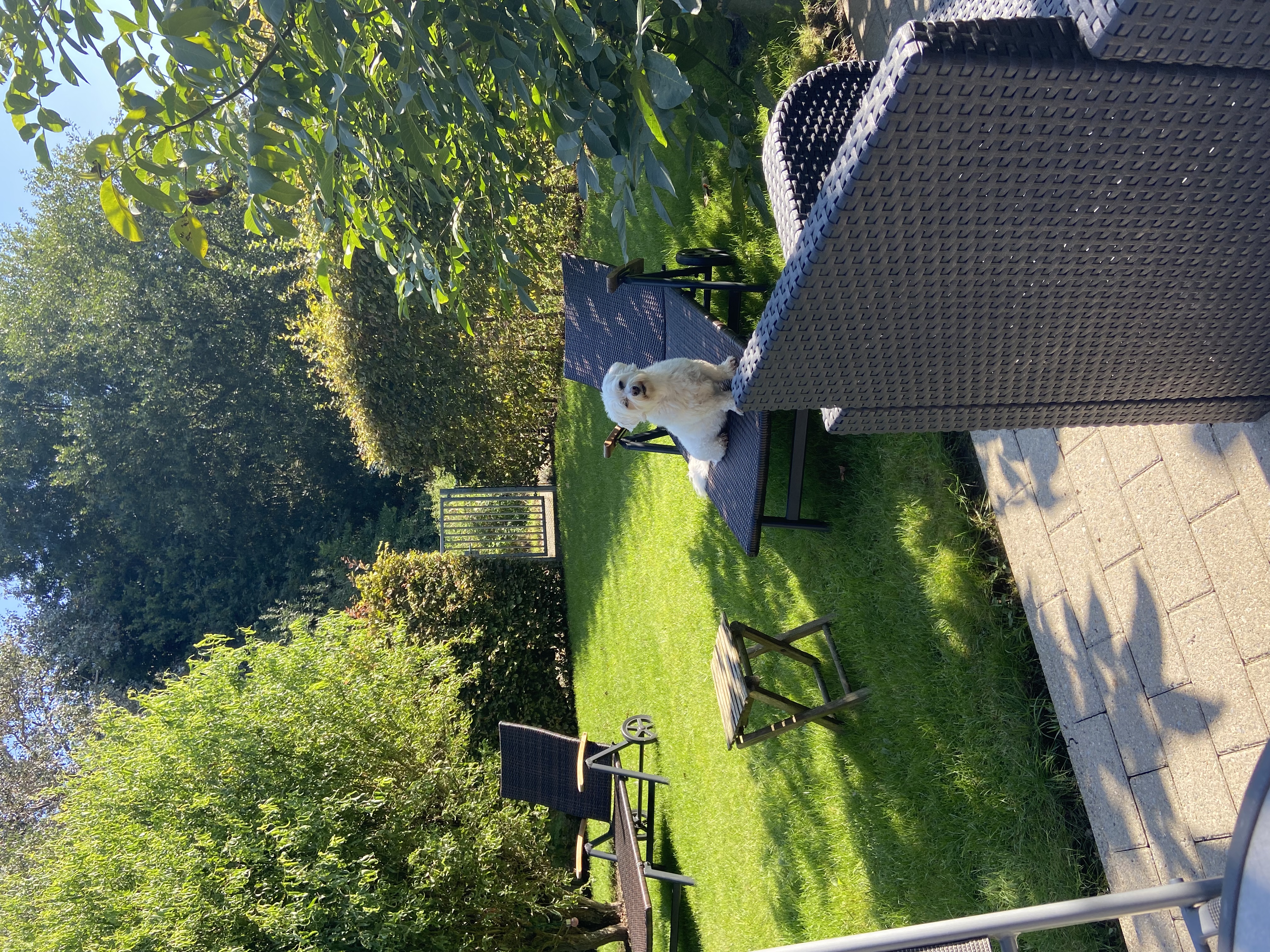 image-15