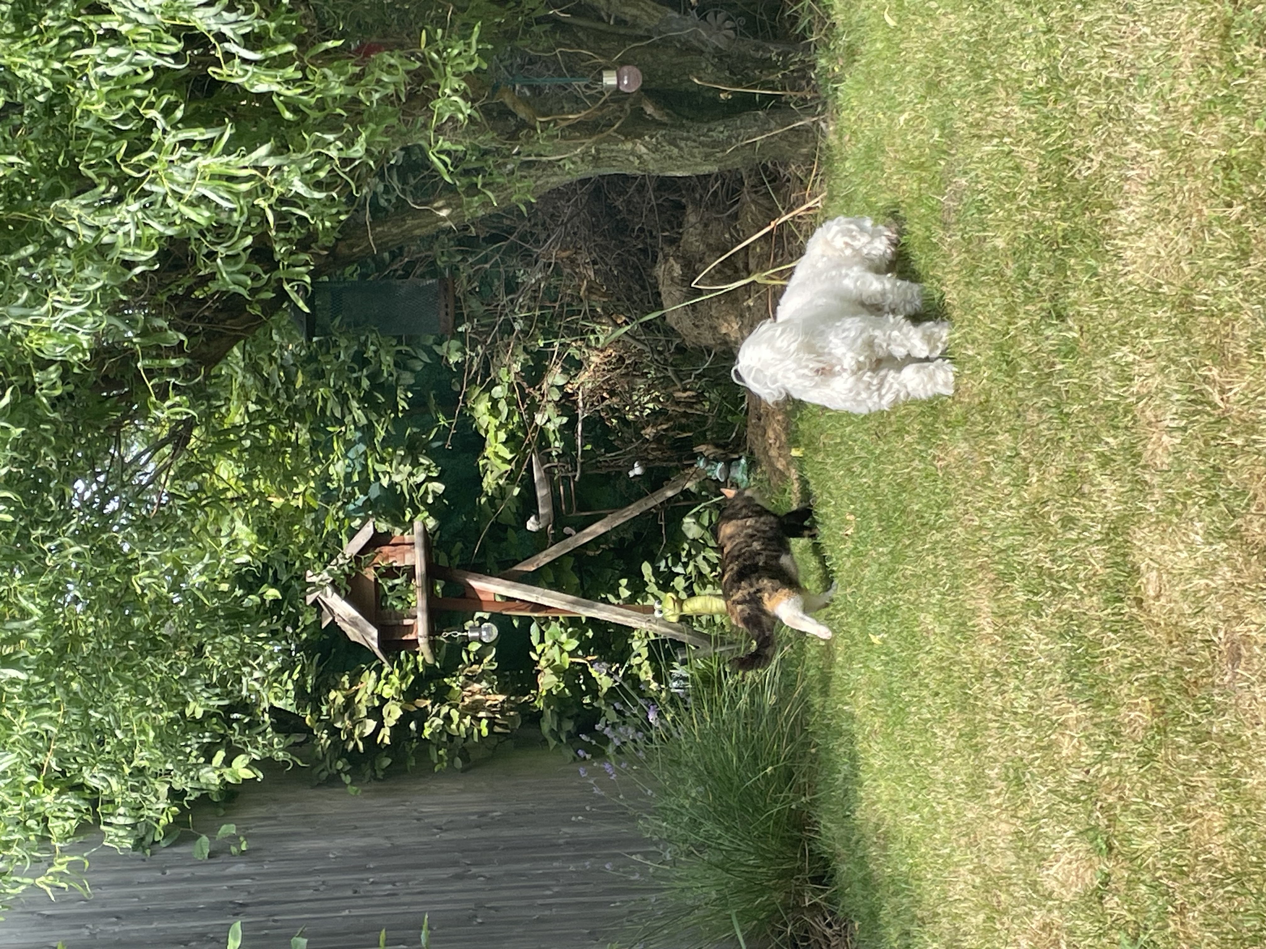 image-14
