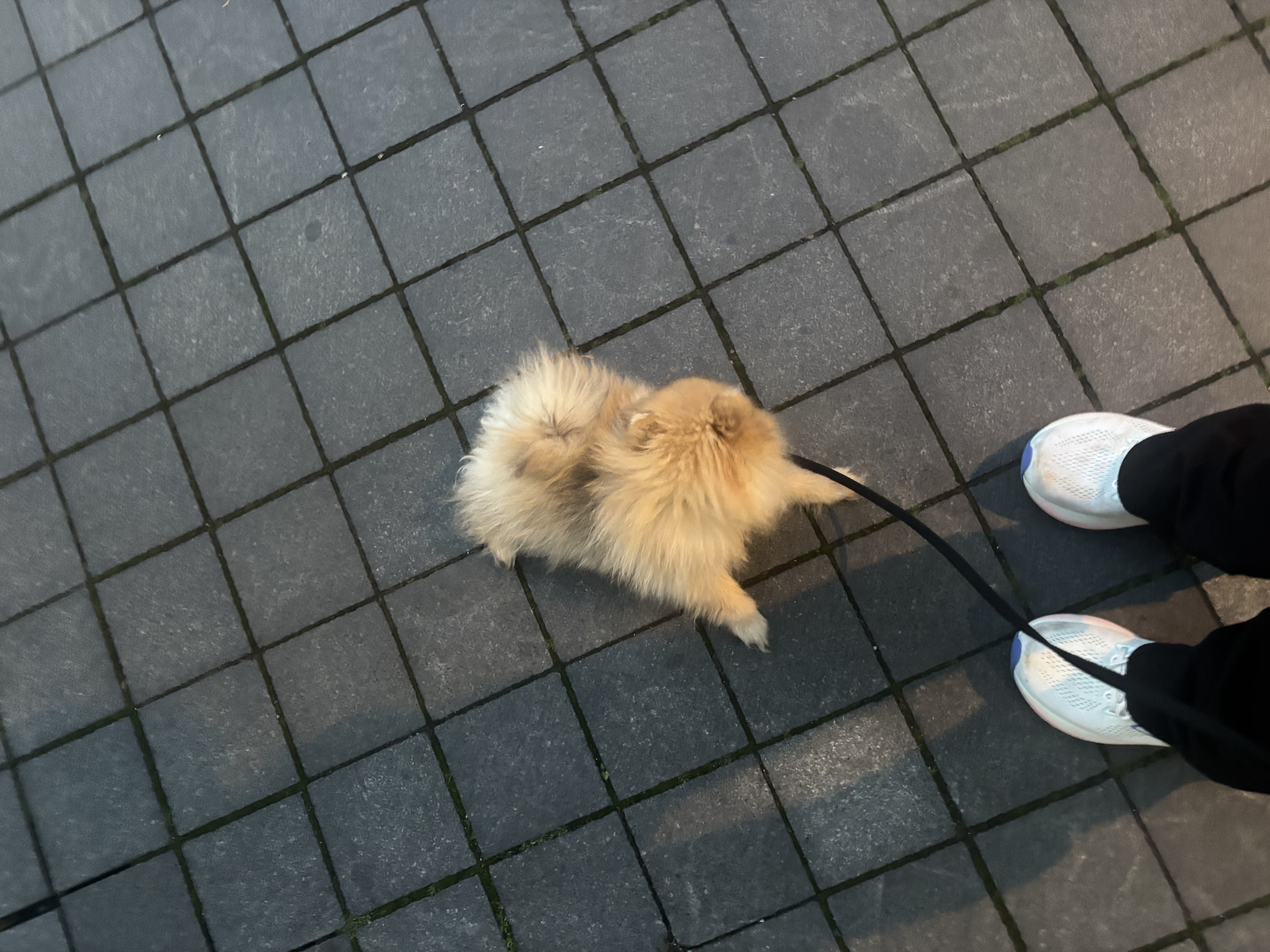 image-5