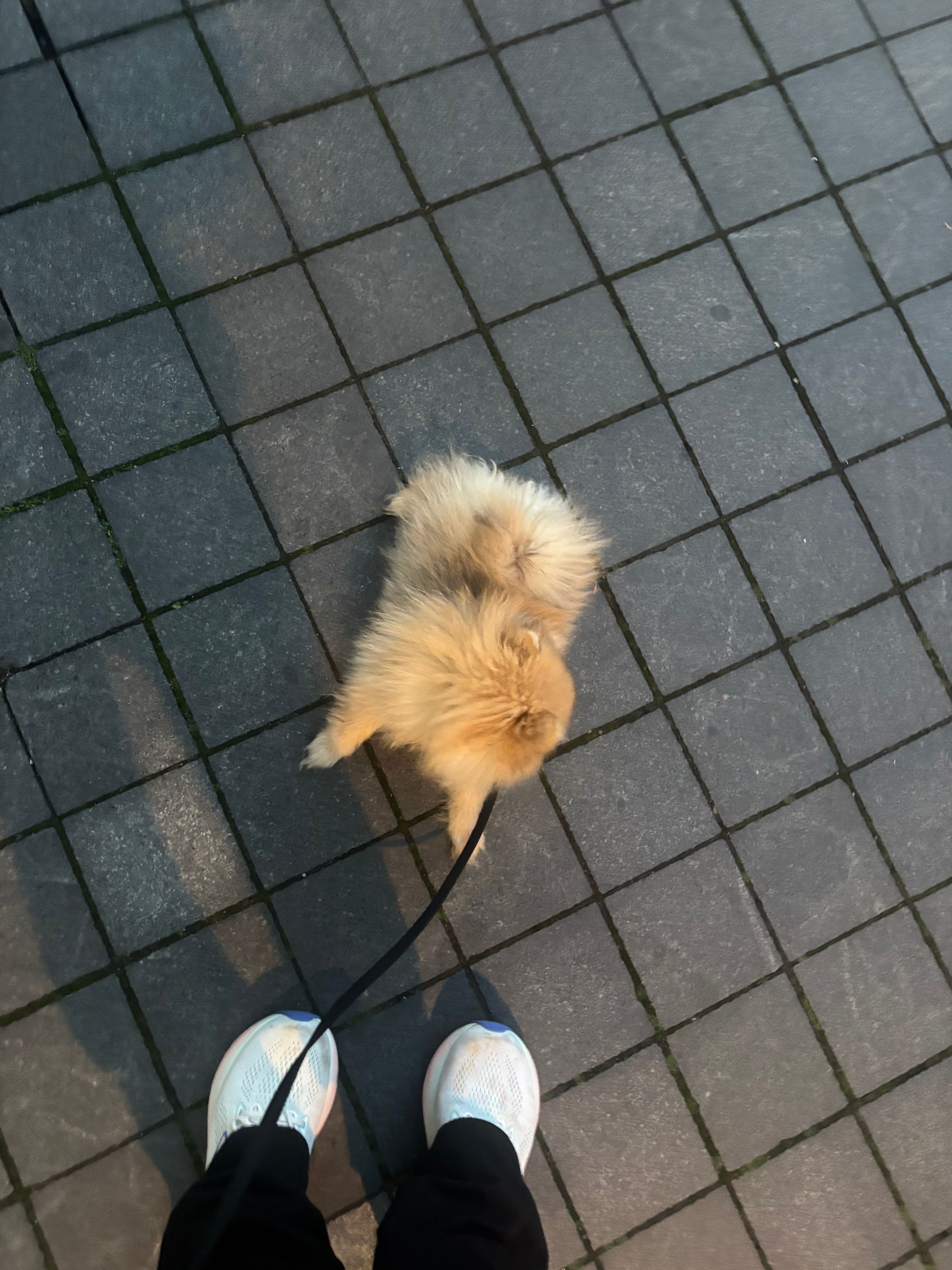 image-5