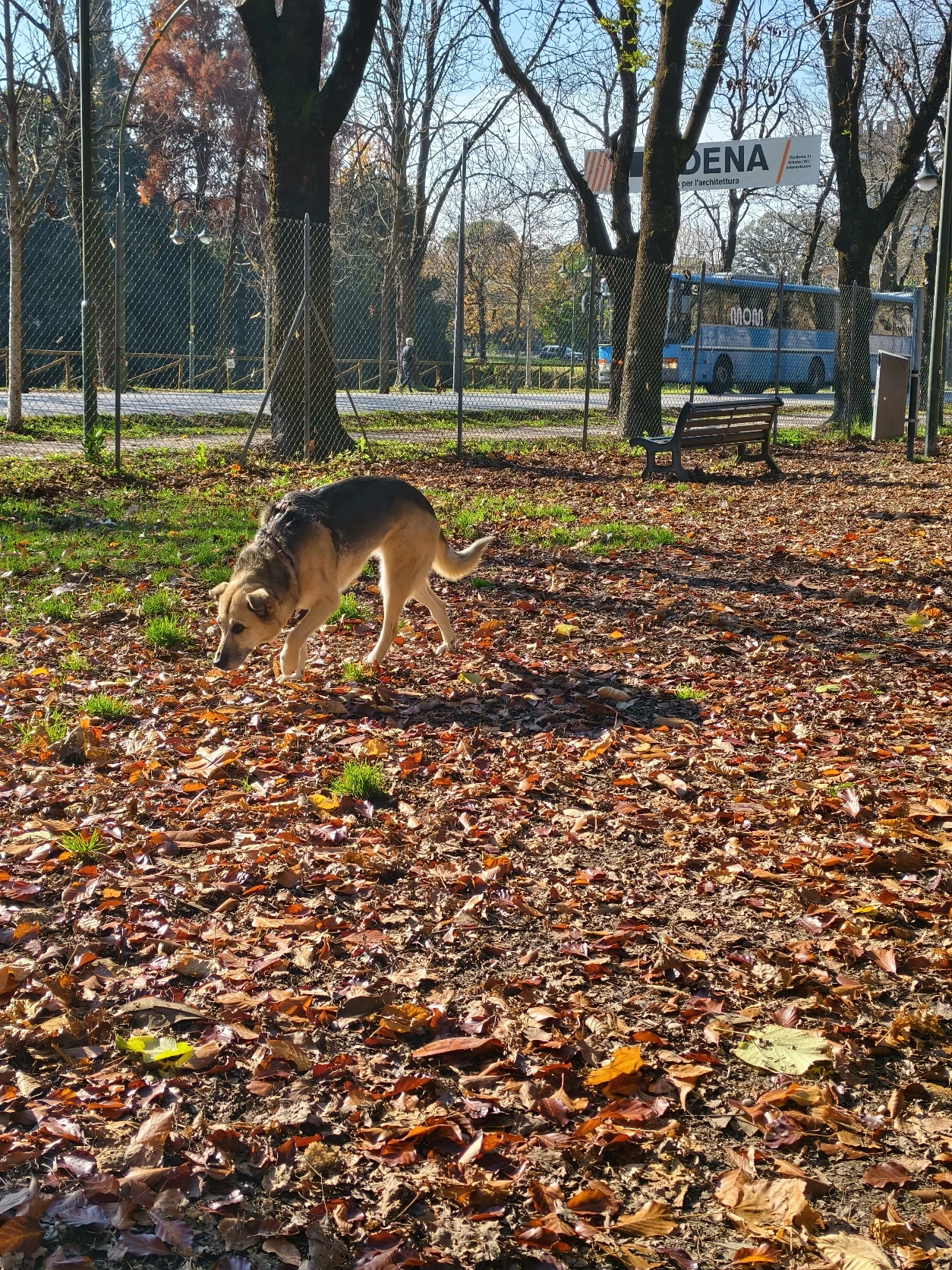 image-12