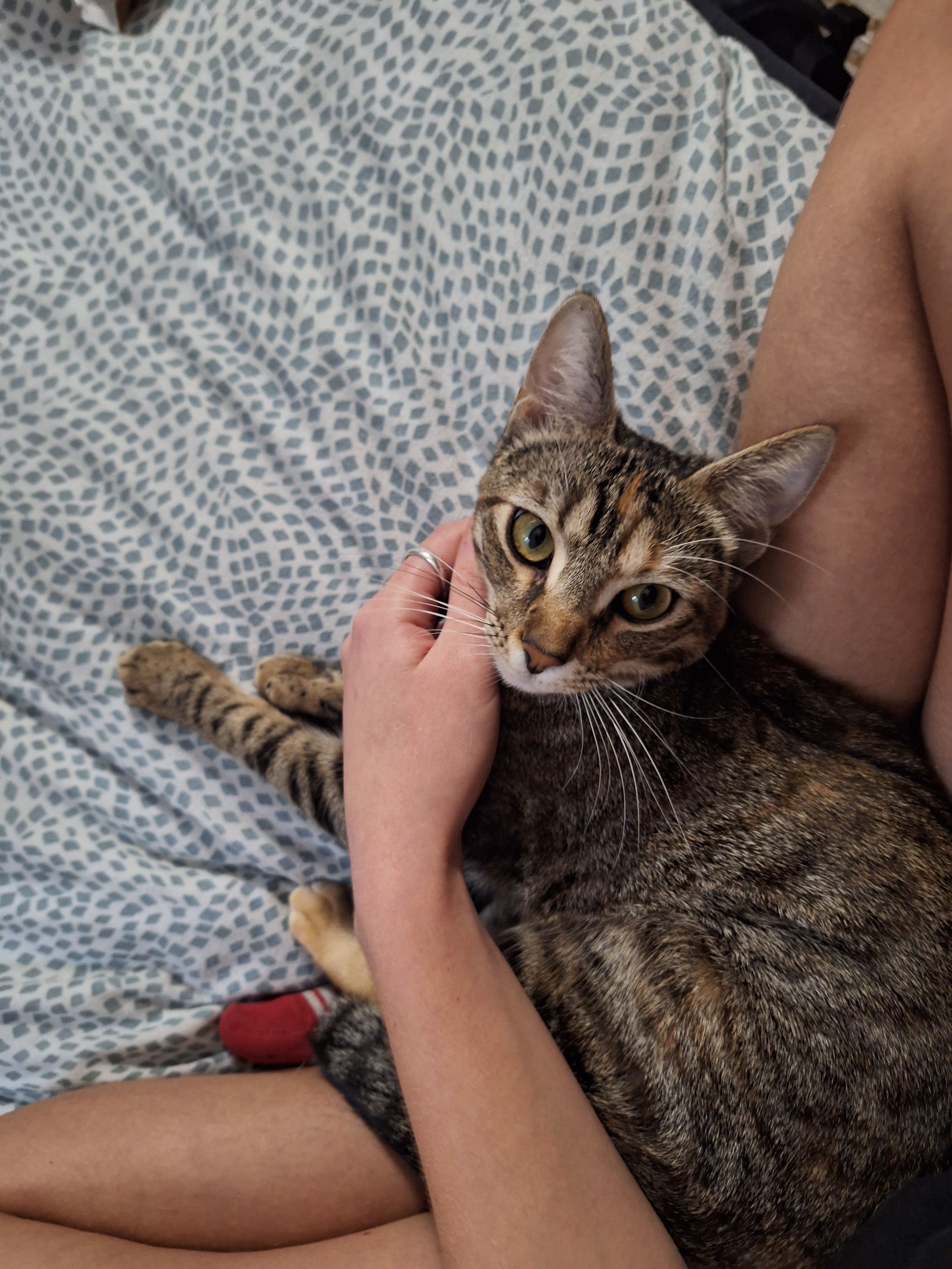 image-6