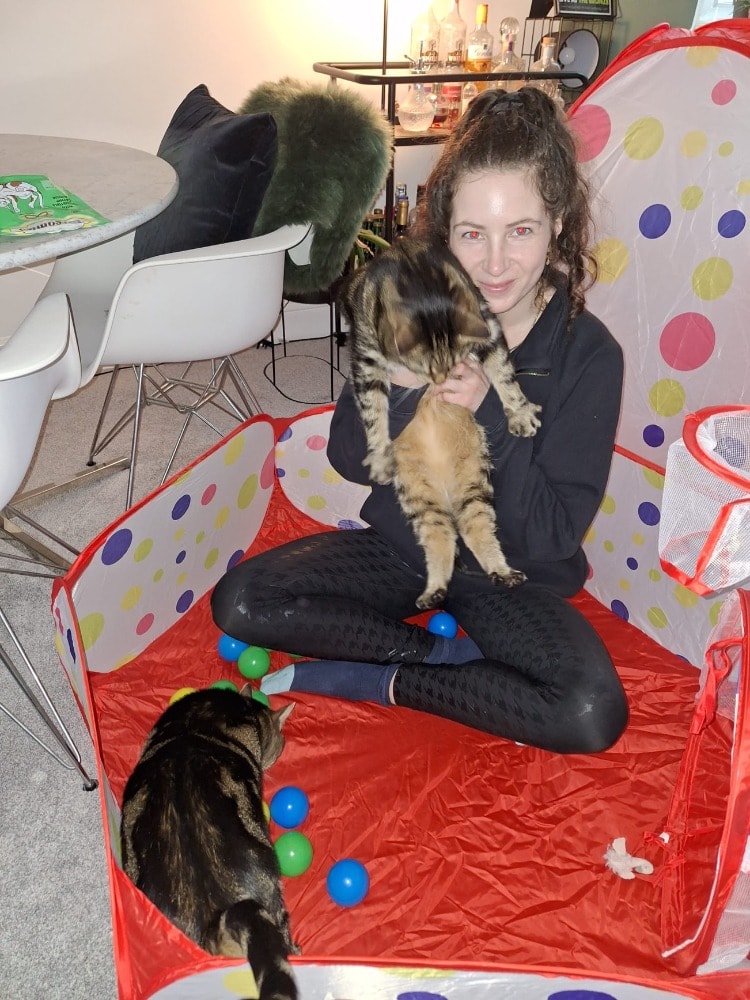 image-6