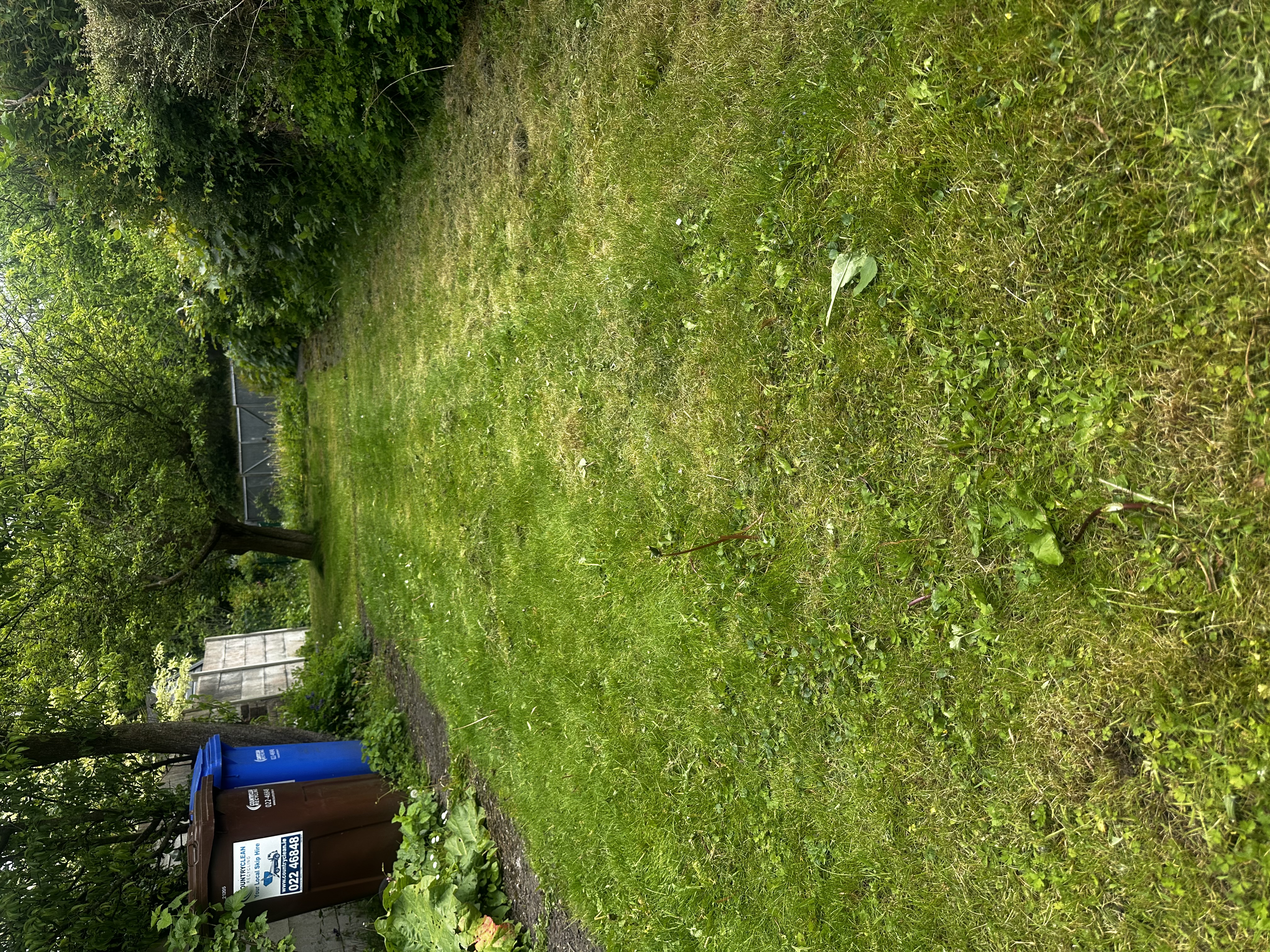 image-13