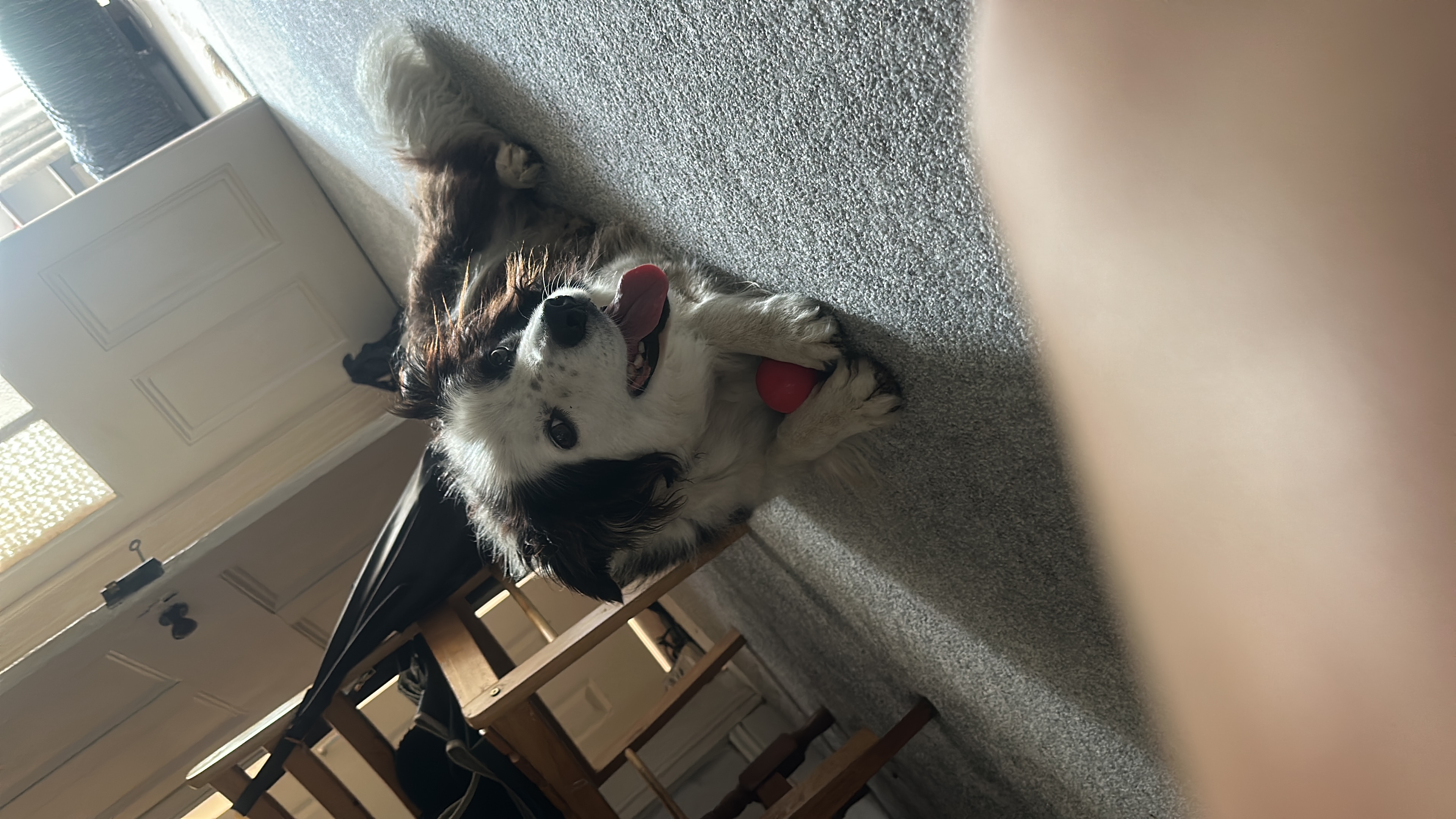 image-10
