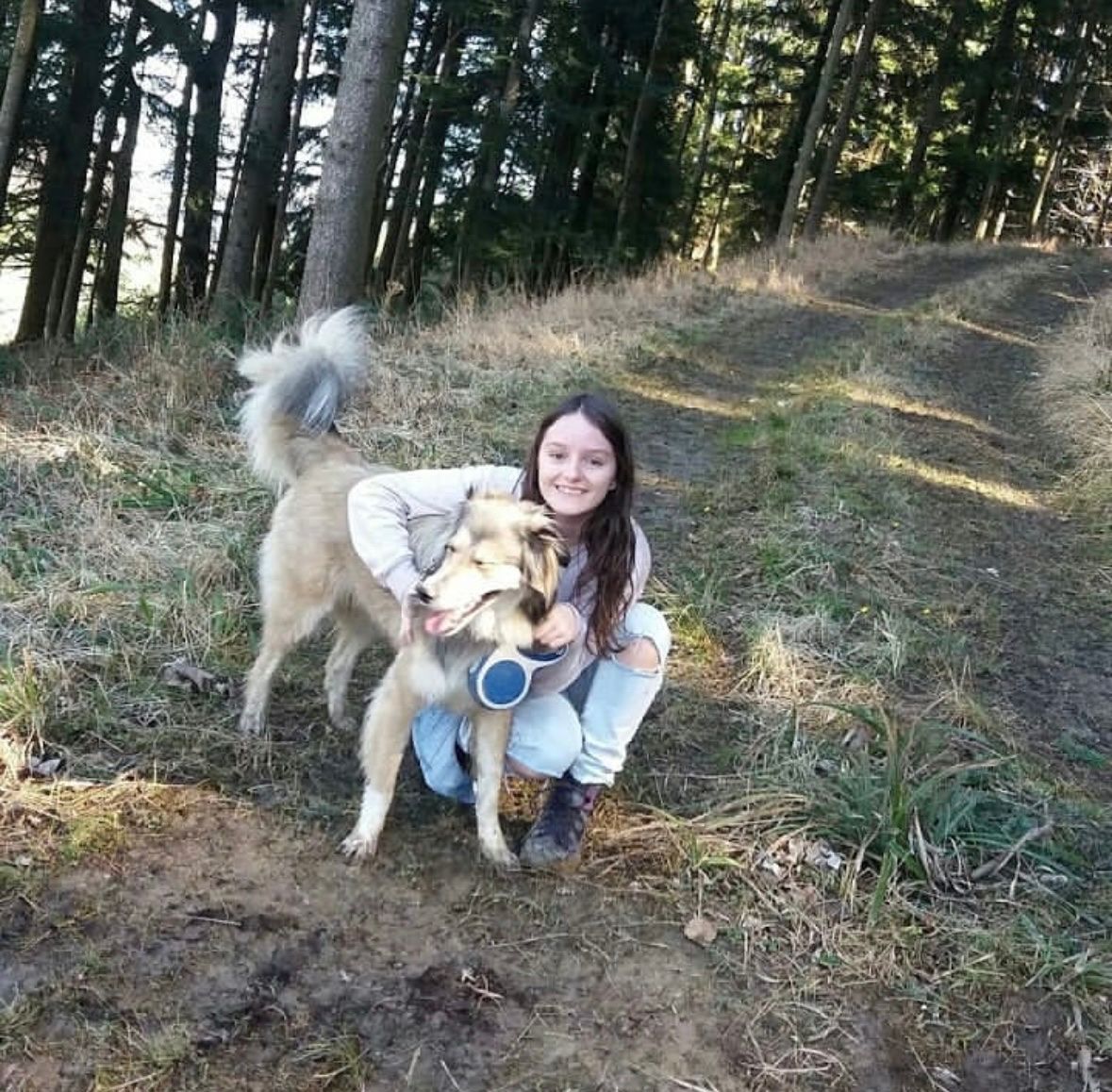 image-11