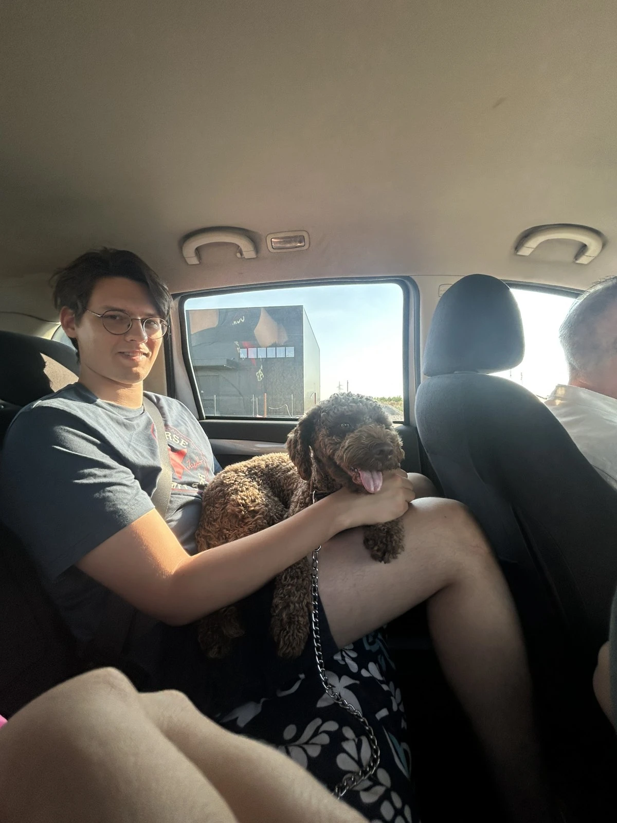 image-4
