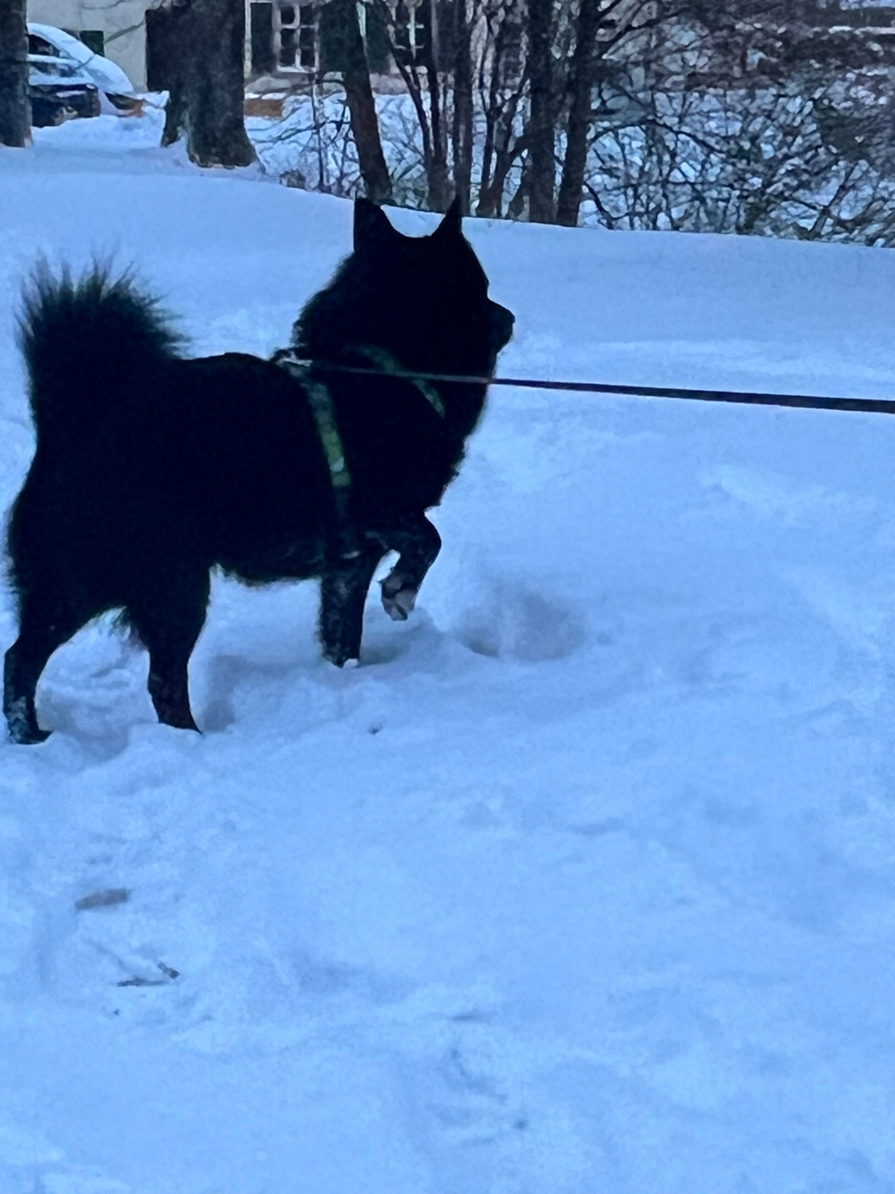image-5